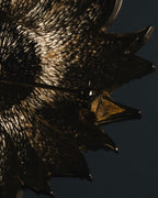 Christian Dior Floral Sunburst Crystal Brooch