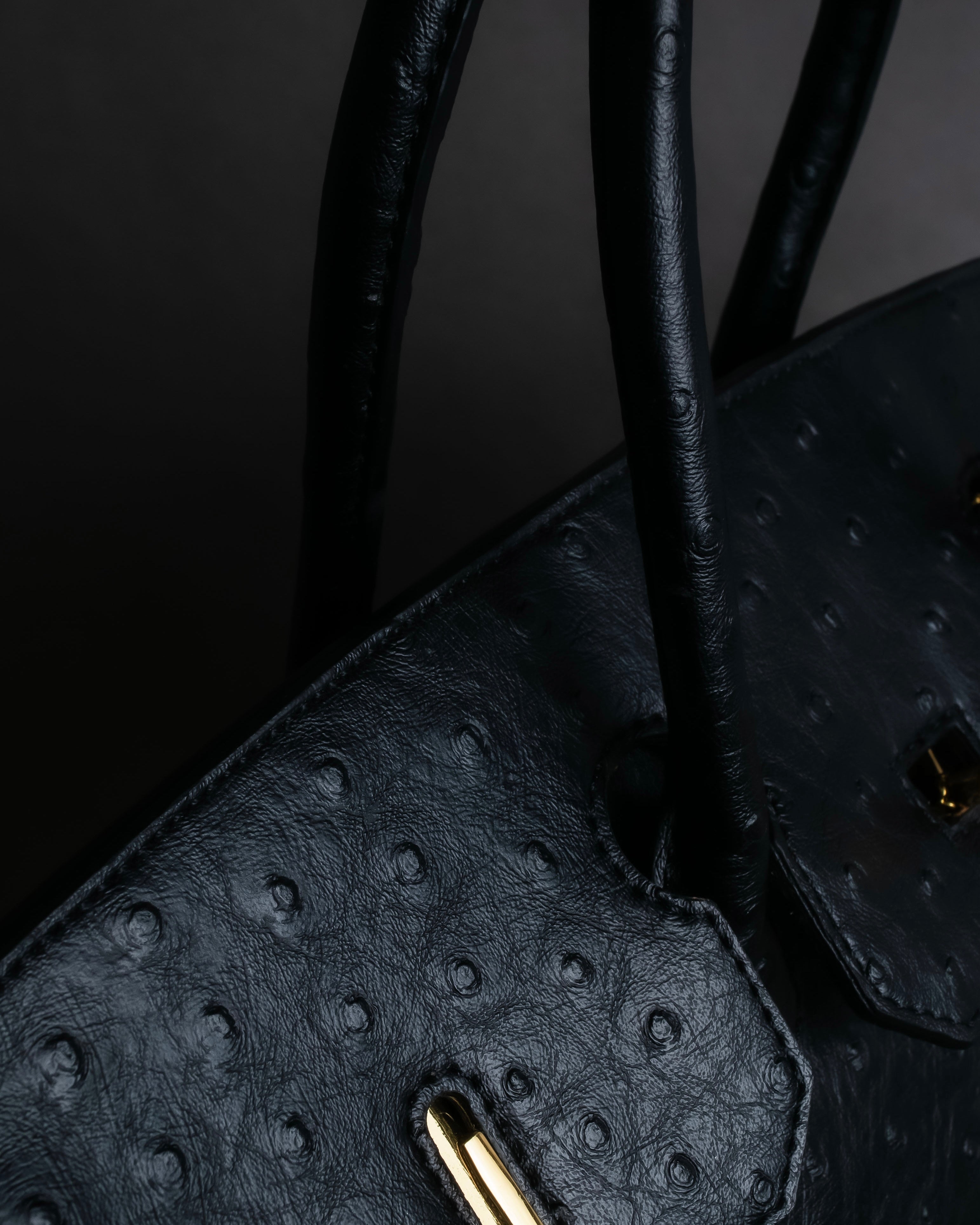 "Pierre Cardin" Turnlock design ostrich leather top handle bag