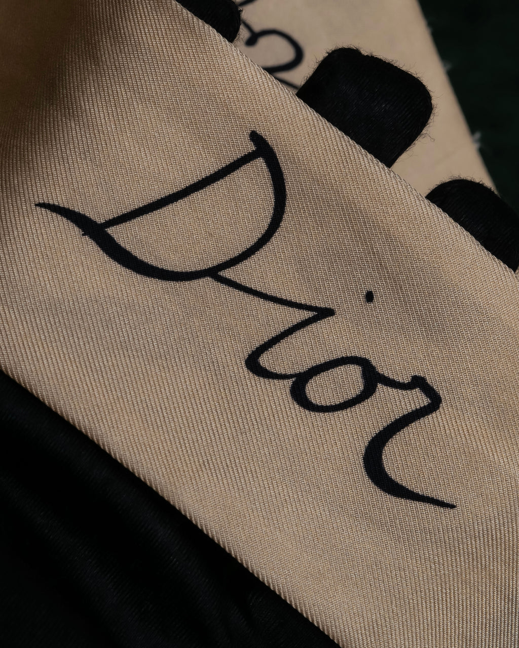 "Christian Dior" Iconic motif silk twilly scarf