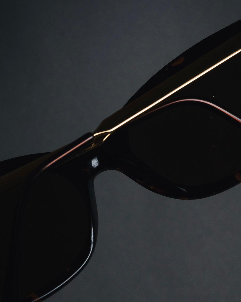 "GUCCI" Sleek oval acetate sunglasses