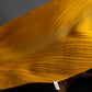 "PLEATS PLEASE ISSEY MIYAKE" Yellow orange color pleated stole