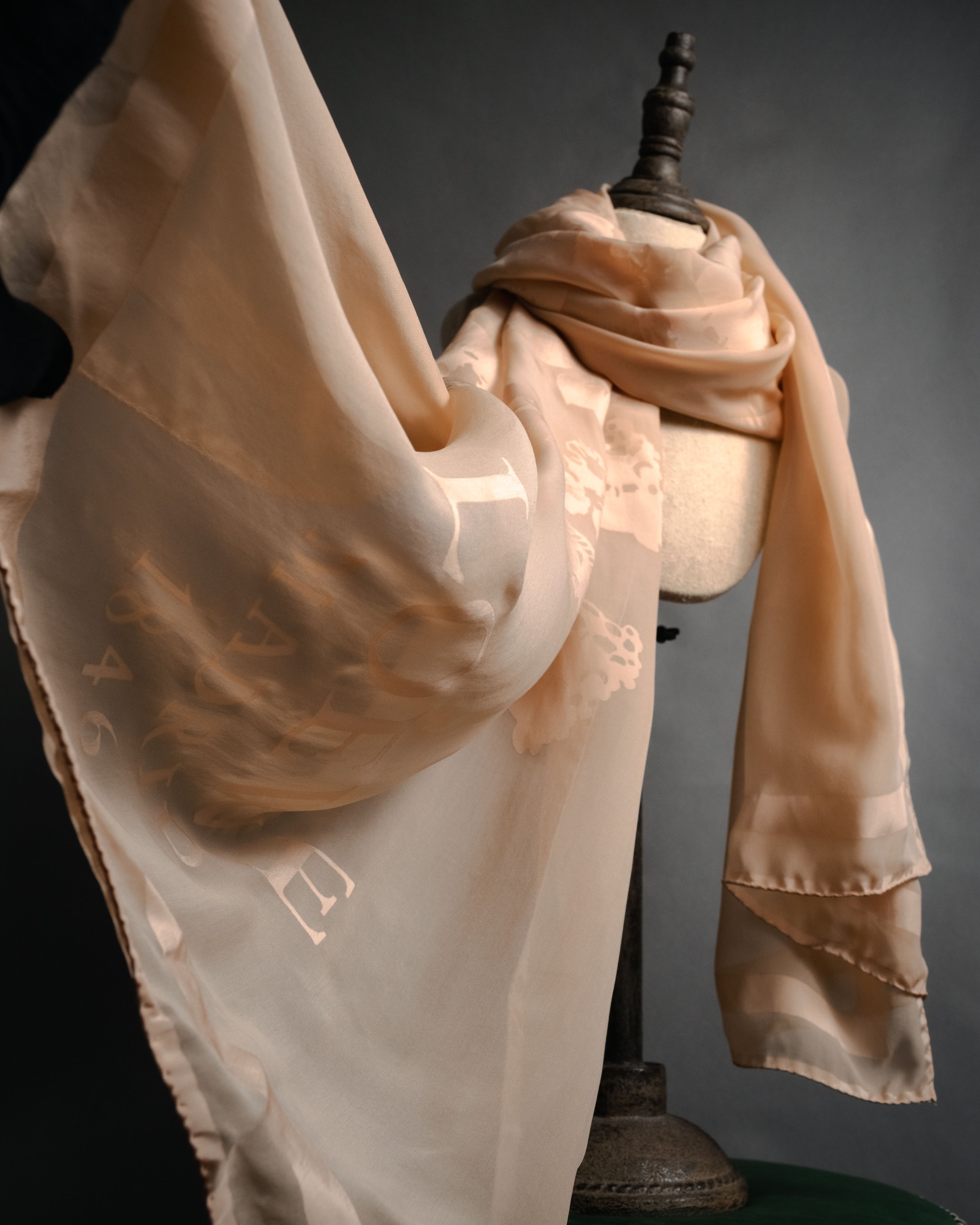 "LOEWE" 00’s-10’s sheer anagram jacquard logo scarf