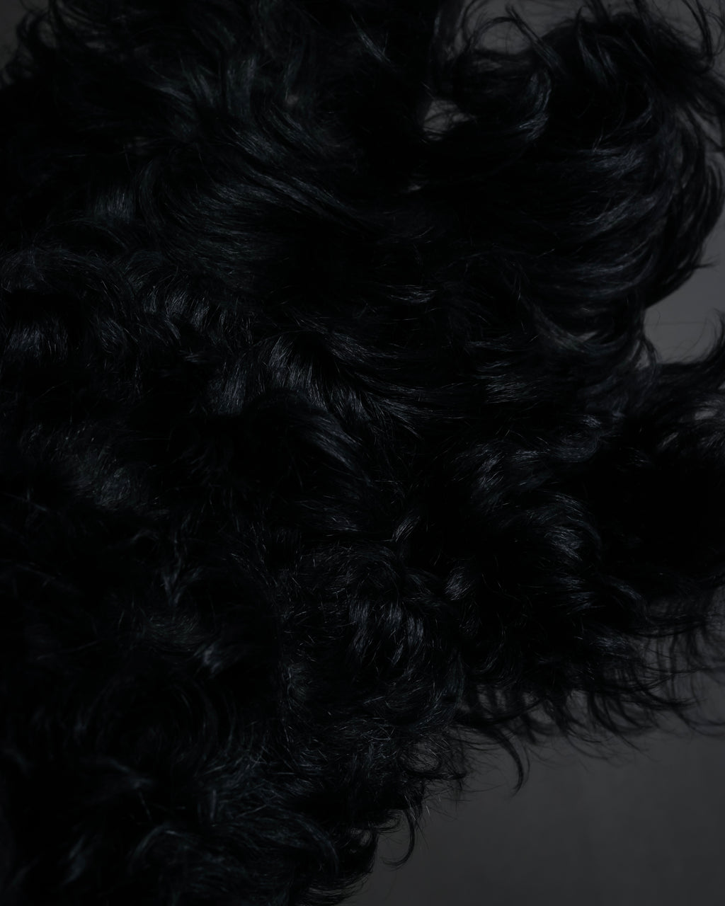 "BOTTEGA VENETA" Long-haired fur design leather gloves