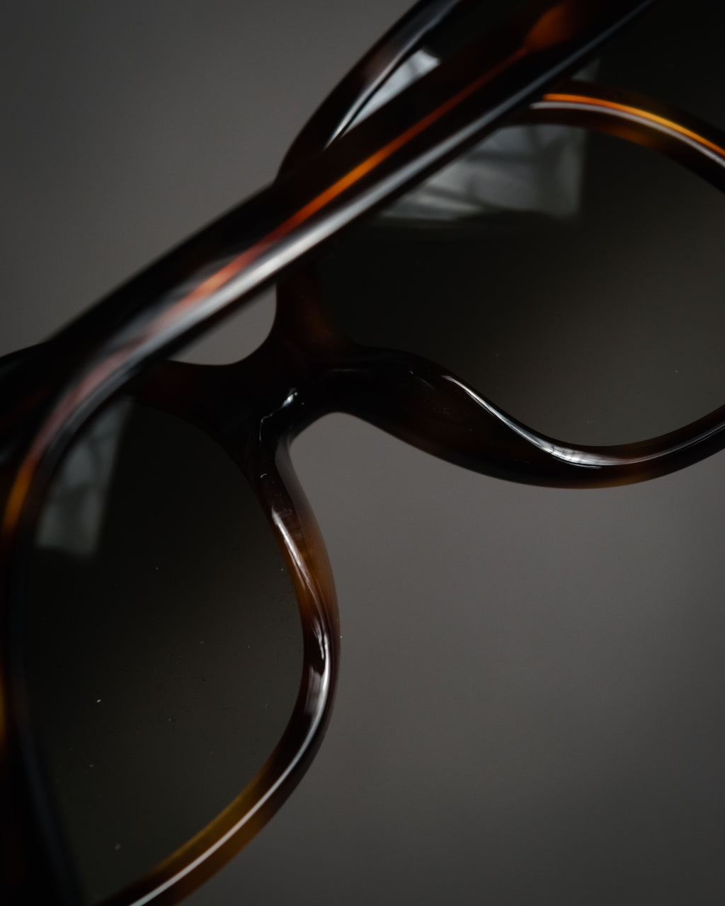 “Salvatore Ferragamo” 2010’s Havana acetate oversized sunglasses