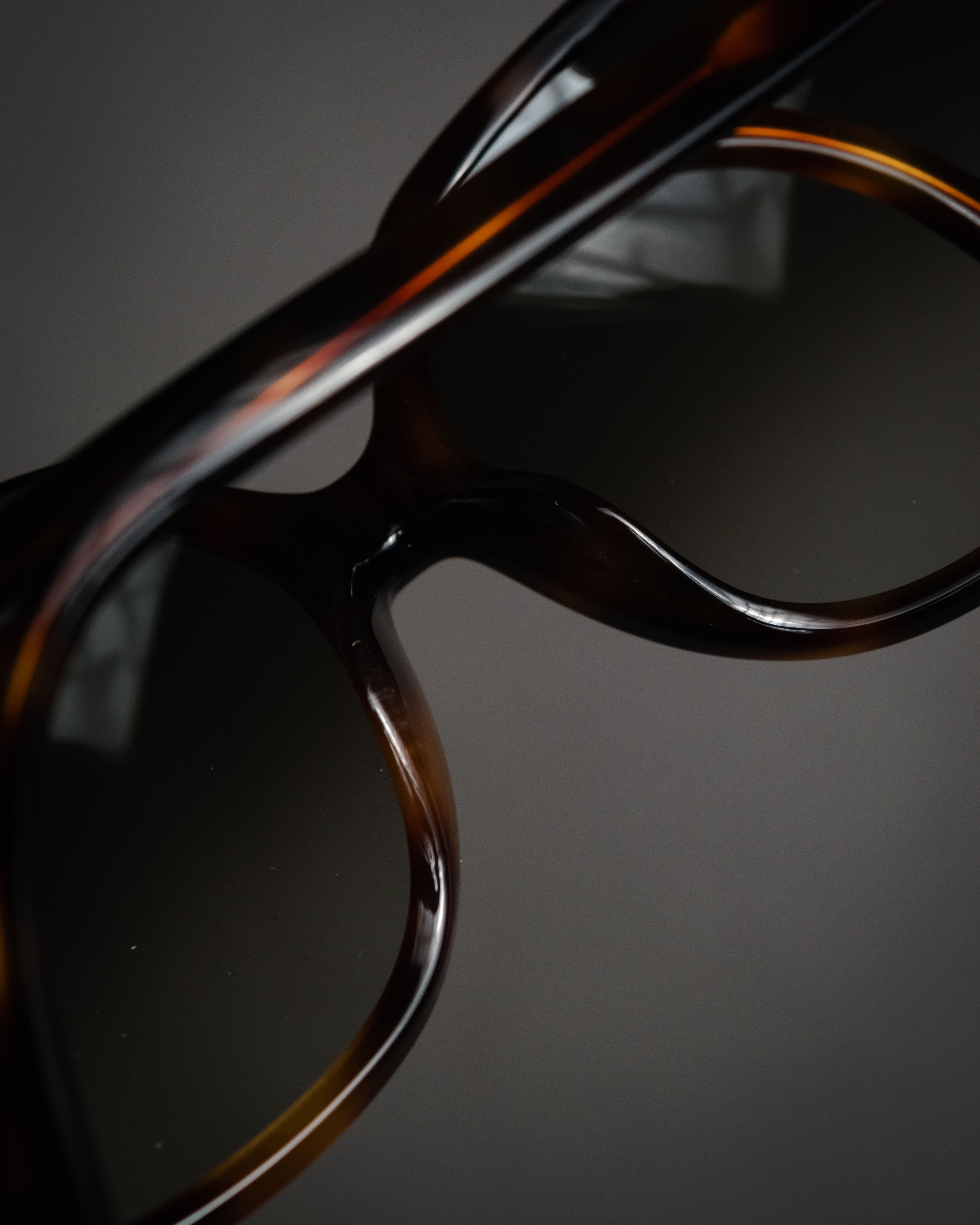 “Salvatore Ferragamo” 2010’s Havana acetate oversized sunglasses