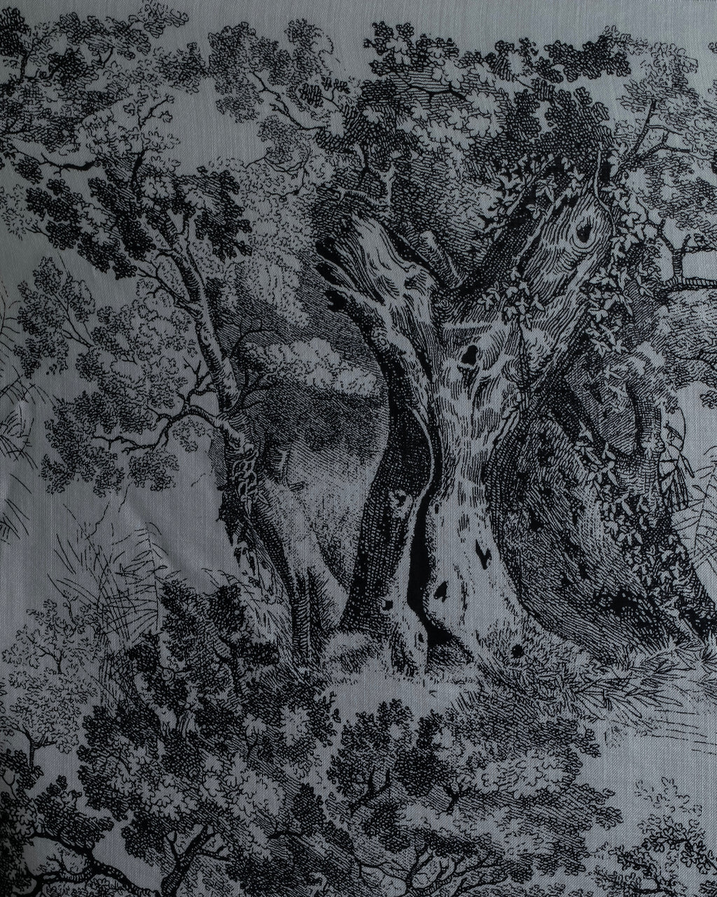 "DIOR" Toile de Jouy Sauvage Scarf