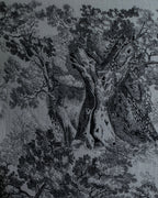 "DIOR" Toile de Jouy Sauvage Scarf