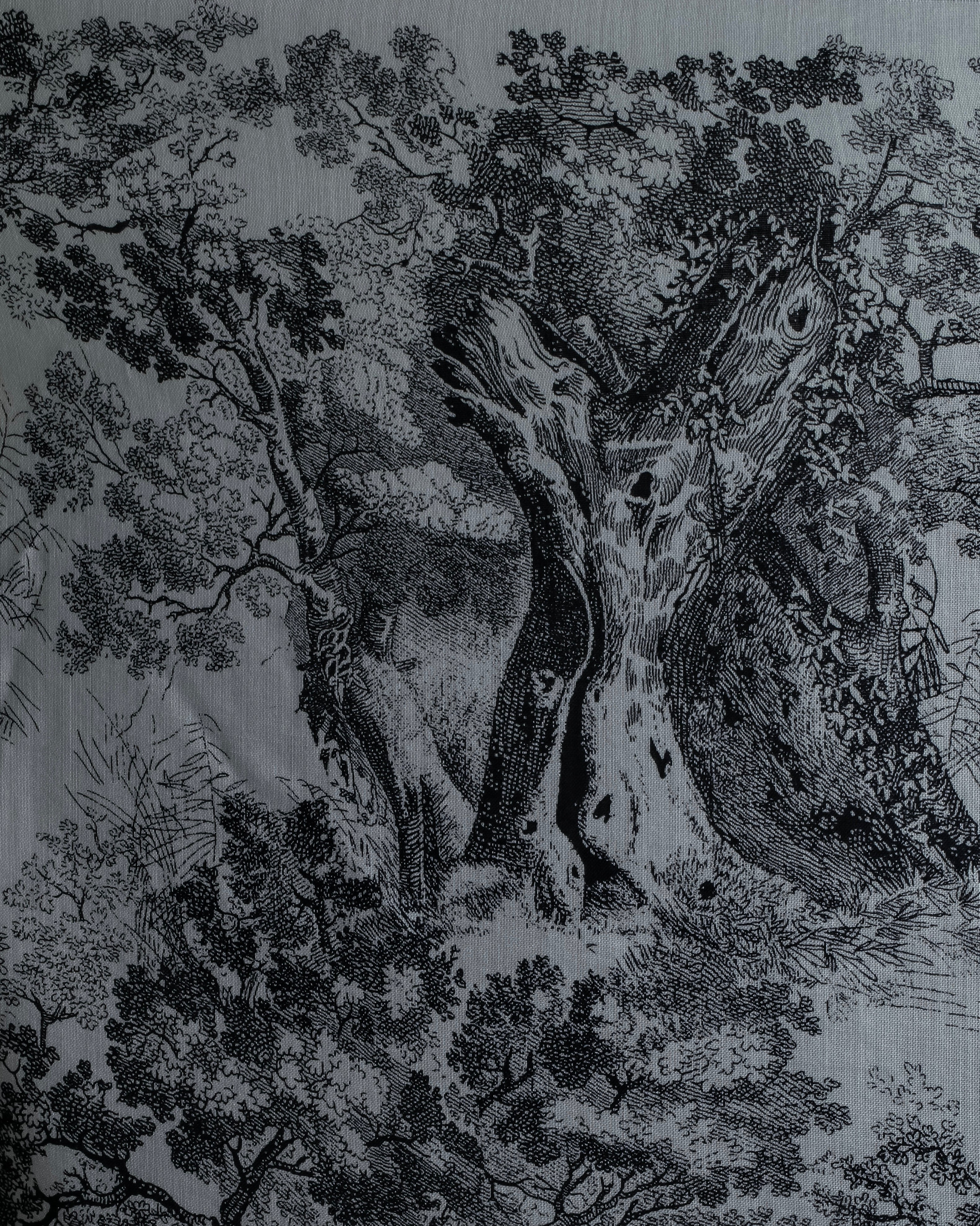 "DIOR" Toile de Jouy Sauvage Scarf