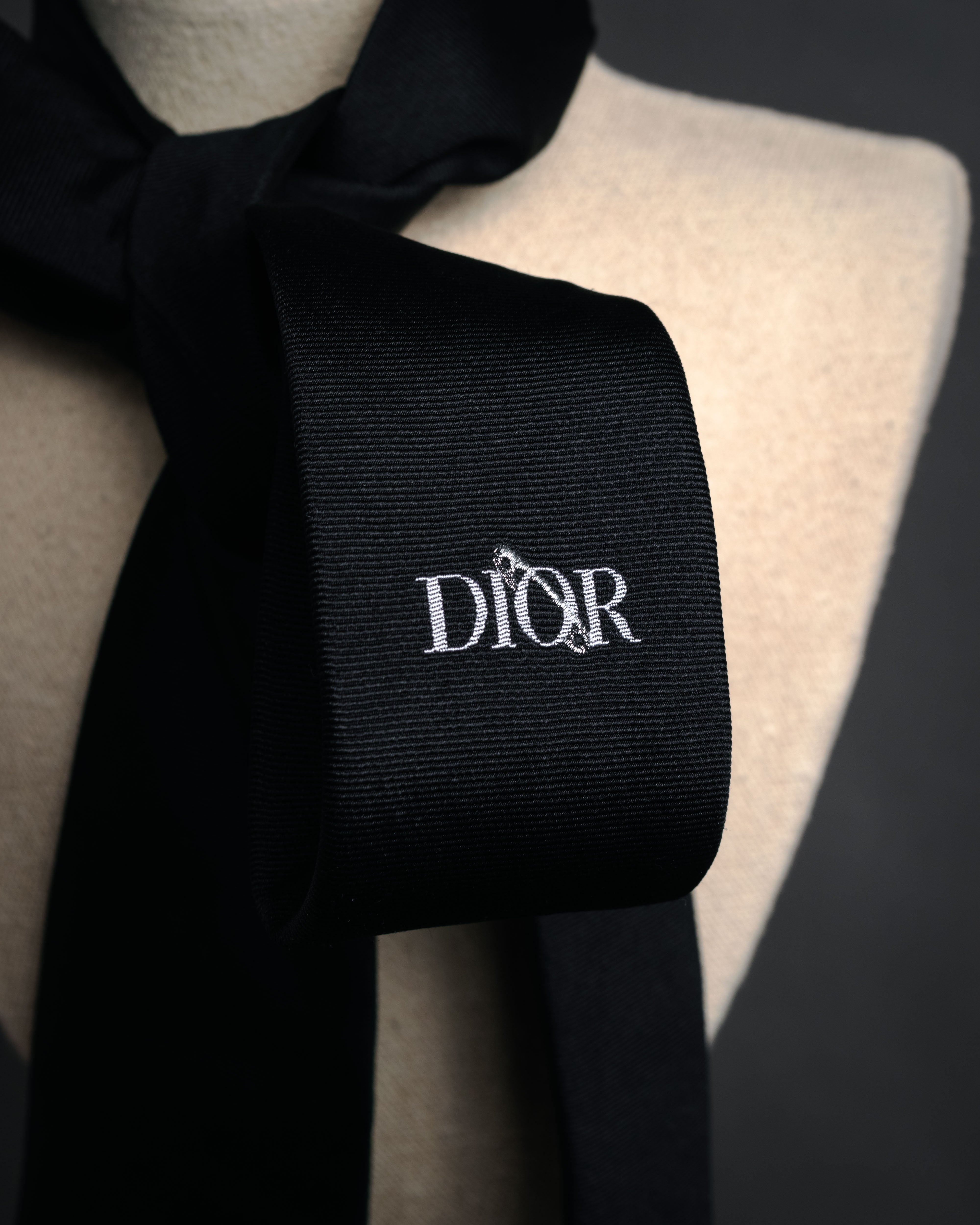DIOR” 2019- Logo embroidered narrow tie – MOOD