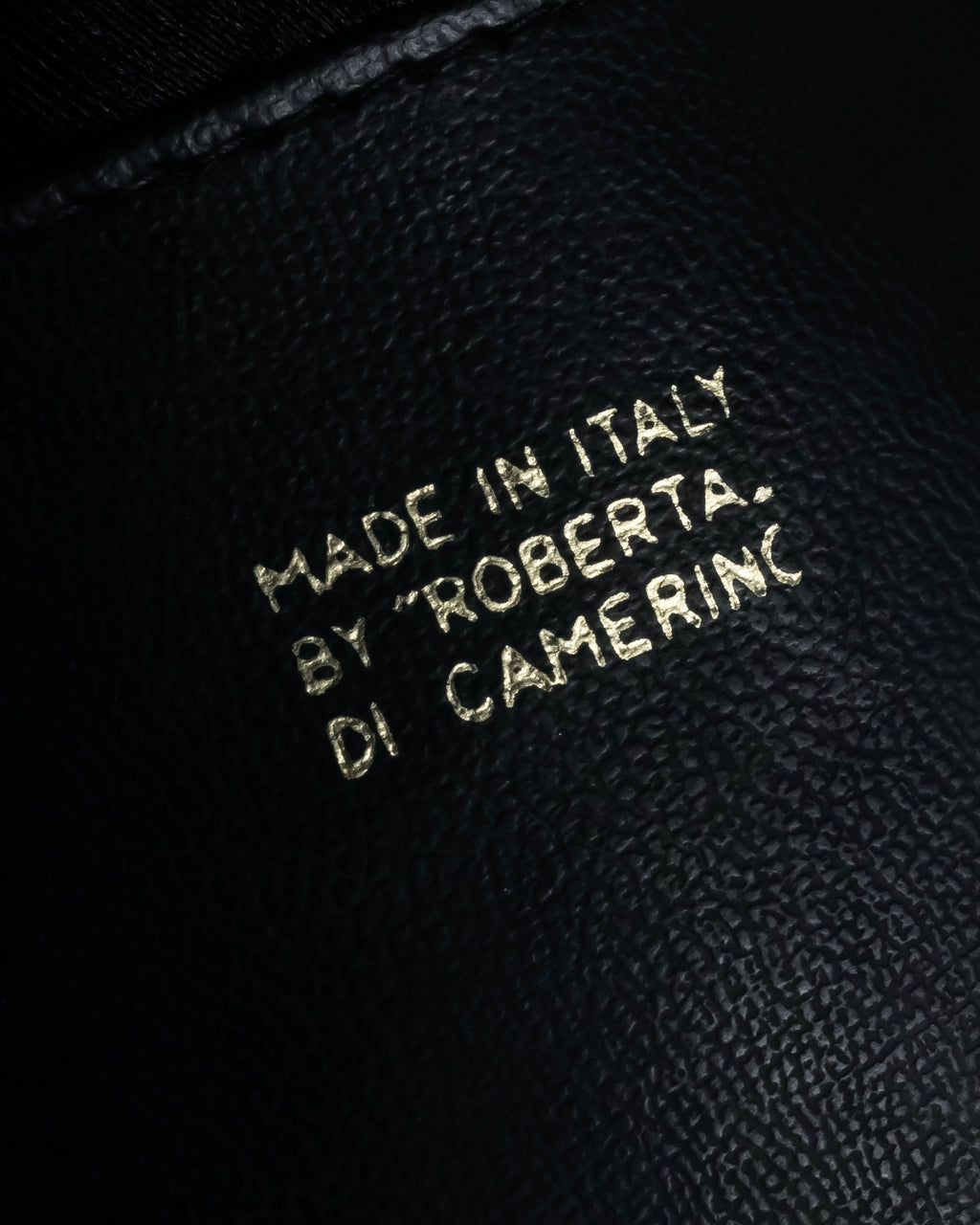 "Roberta Di Camerino" Logo motif charm design modern doctor bag