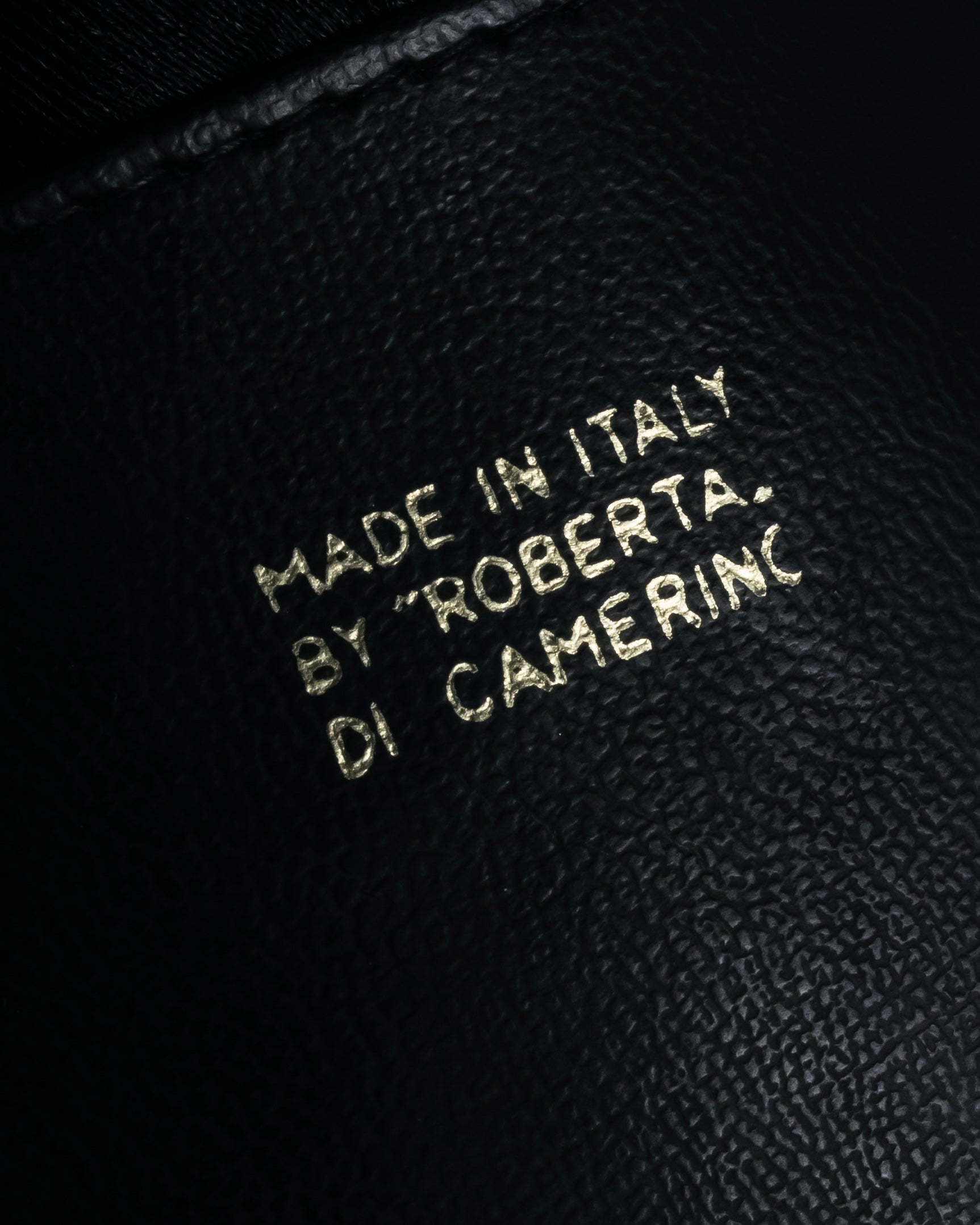 "Roberta Di Camerino" Logo motif charm design modern doctor bag