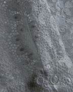 "GUCCI" Michele period floral lace design bow tie shirt