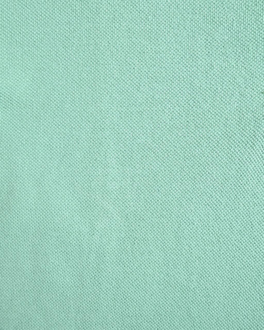 CÉLINE/ Logo Emblem Polo Shirt Mint Green