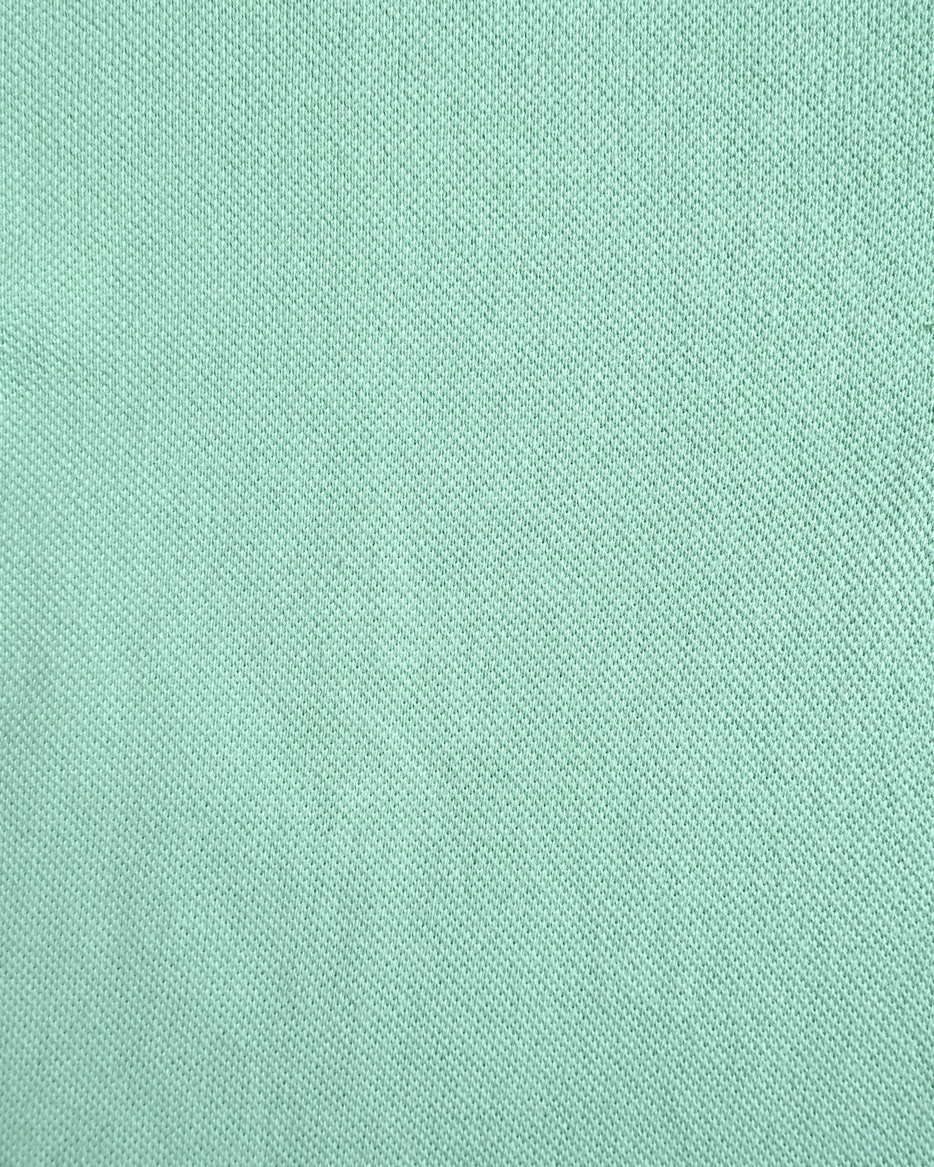 CÉLINE/ Logo Emblem Polo Shirt Mint Green