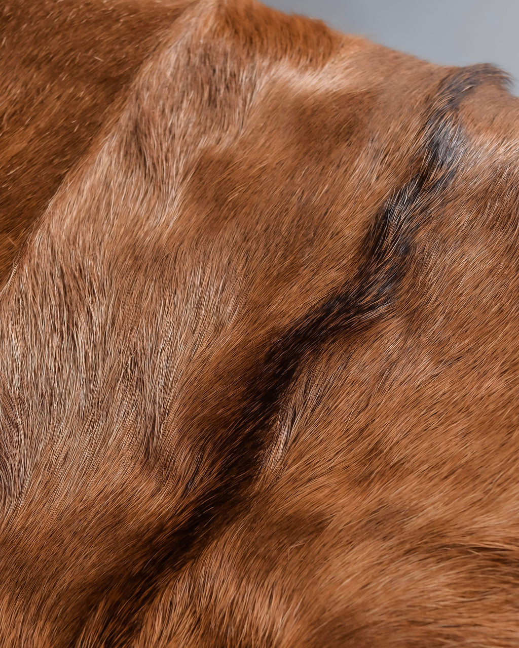 "GUCCI"「1947」 pony leather combination bamboo hand bag