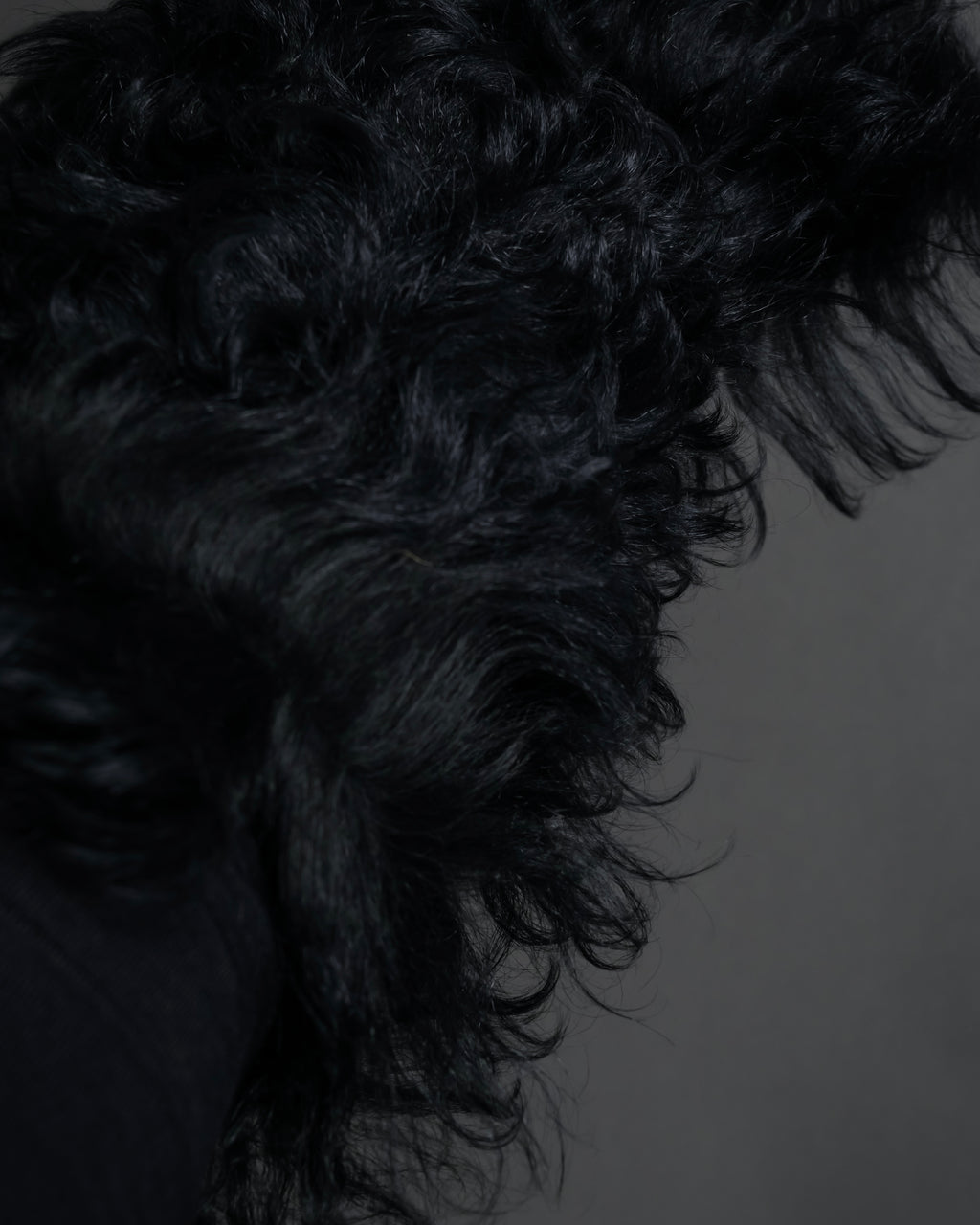 "BOTTEGA VENETA" Long-haired fur design leather gloves