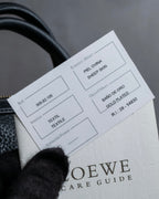 "LOEWE" Flap pocket design ostrich leather bag
