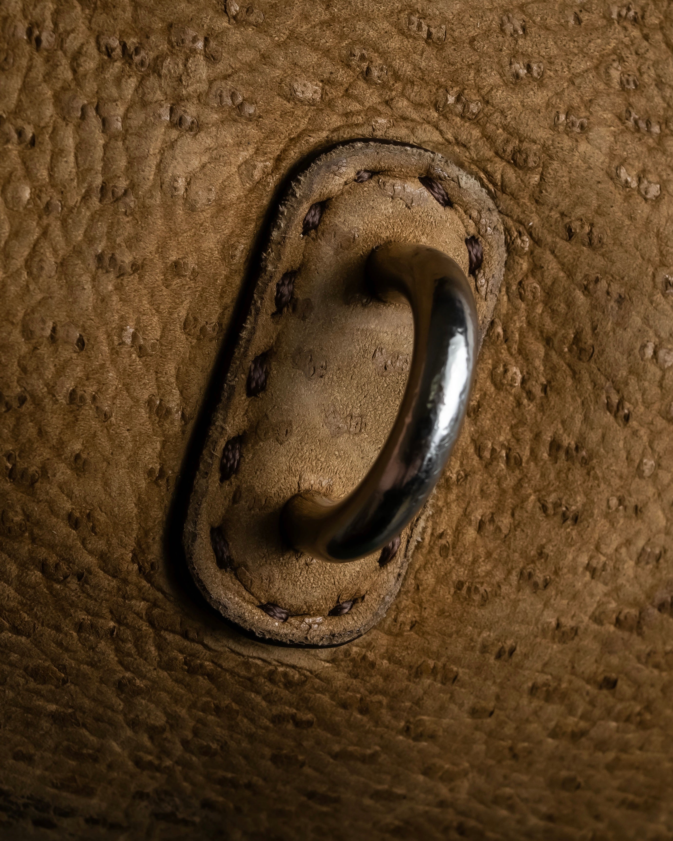 "PRADA" Hook hardware design ostrich leather shoulder bag