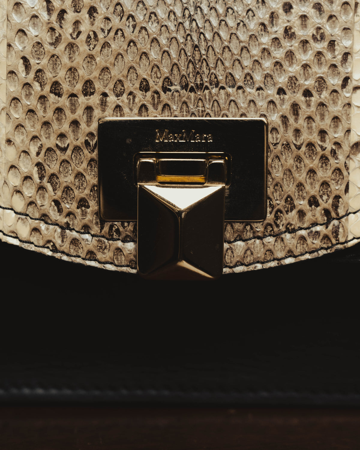 “Max Mara” Late 90’s-early 00’s exotic leather flap chain bag