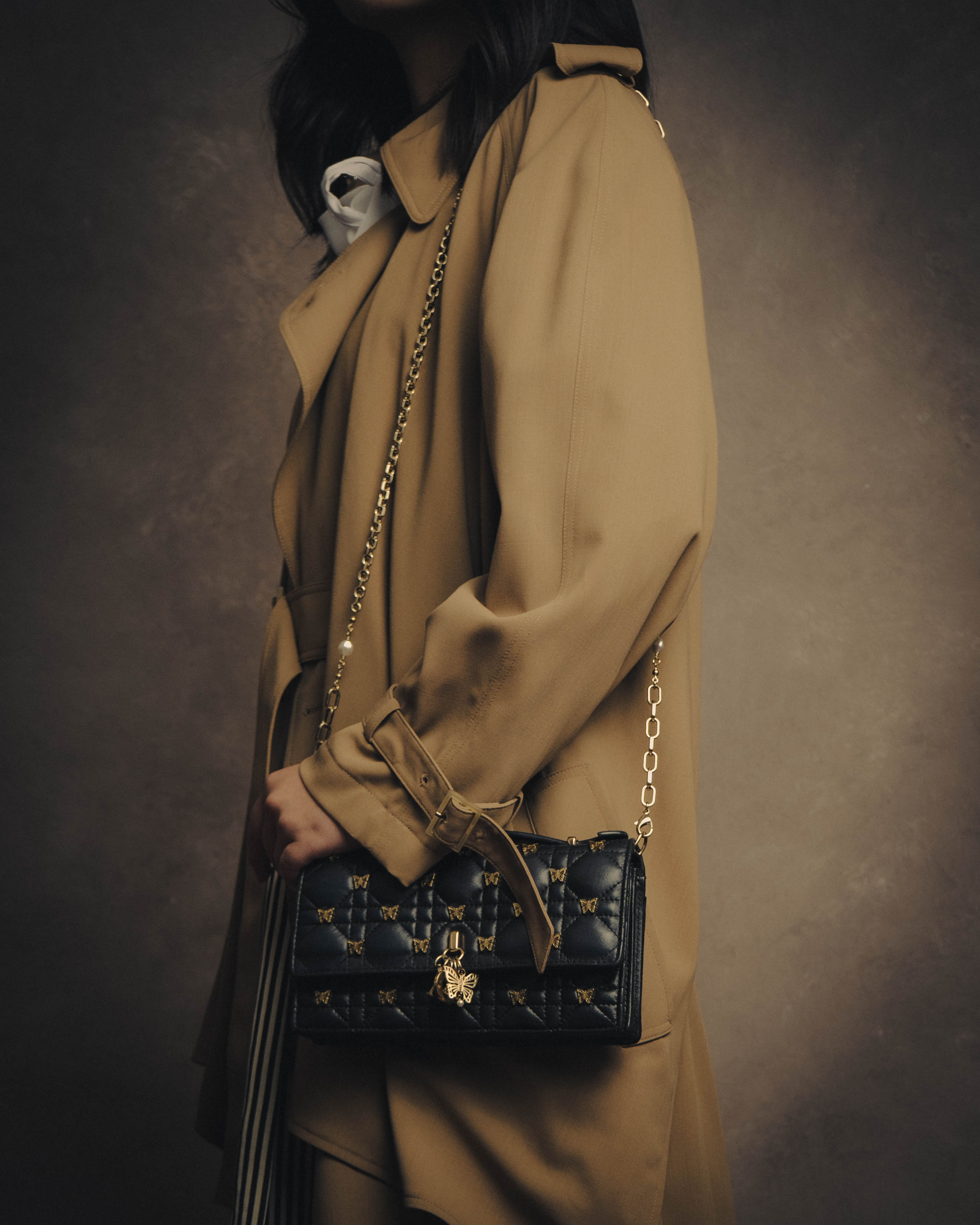 -SPECIAL- “Christian Dior” 2016 onwards butterfly cannage chain shoulder bag