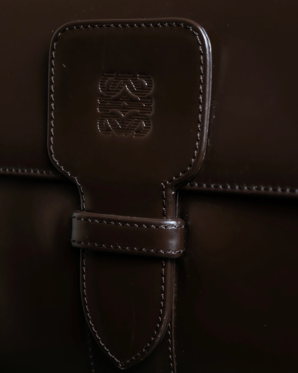 "LOEWE" Logo engraved belt design glass leather shoulder bag