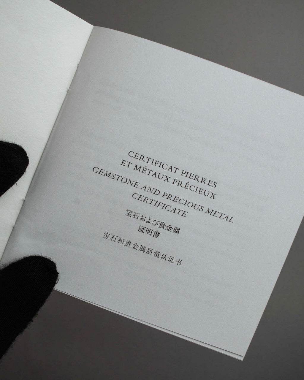 "HERMES" Vertige polished silver 925 ring