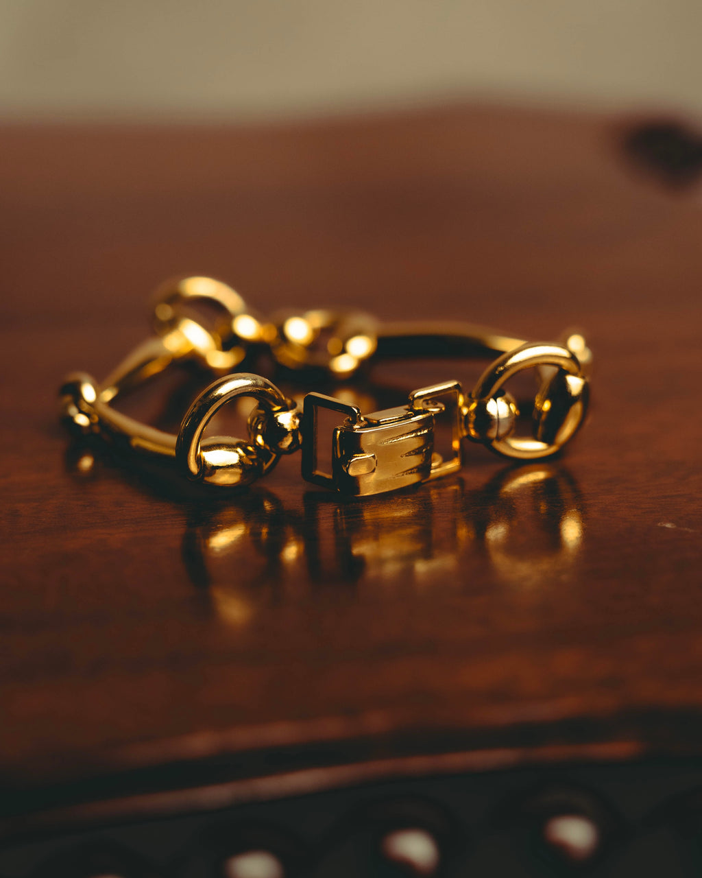 -SPECIAL- “CELINE” 70’s-80’s vintage horsebit link bracelet