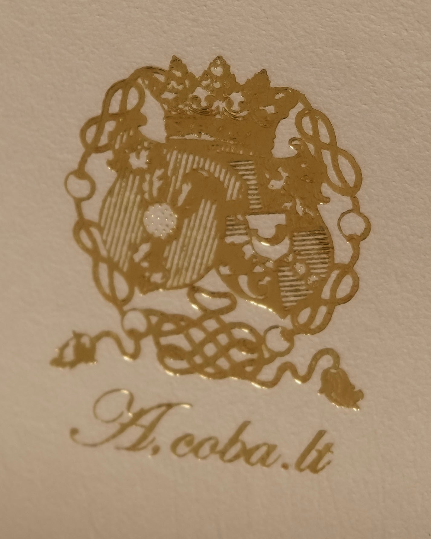 "ADMJ" Leather &amp; canvas combination 2way shoulder bag