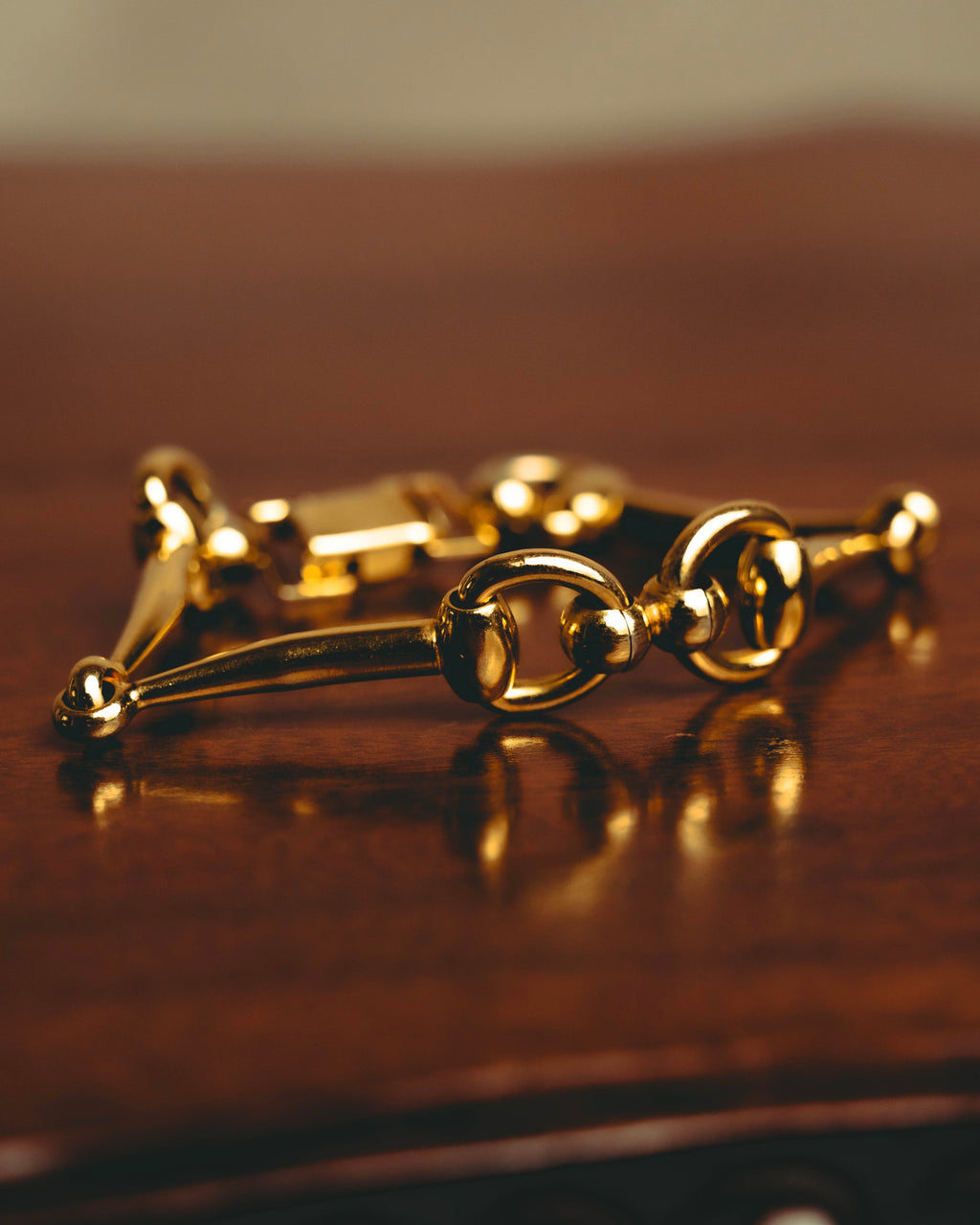 -SPECIAL- “CELINE” 70’s-80’s vintage horsebit link bracelet
