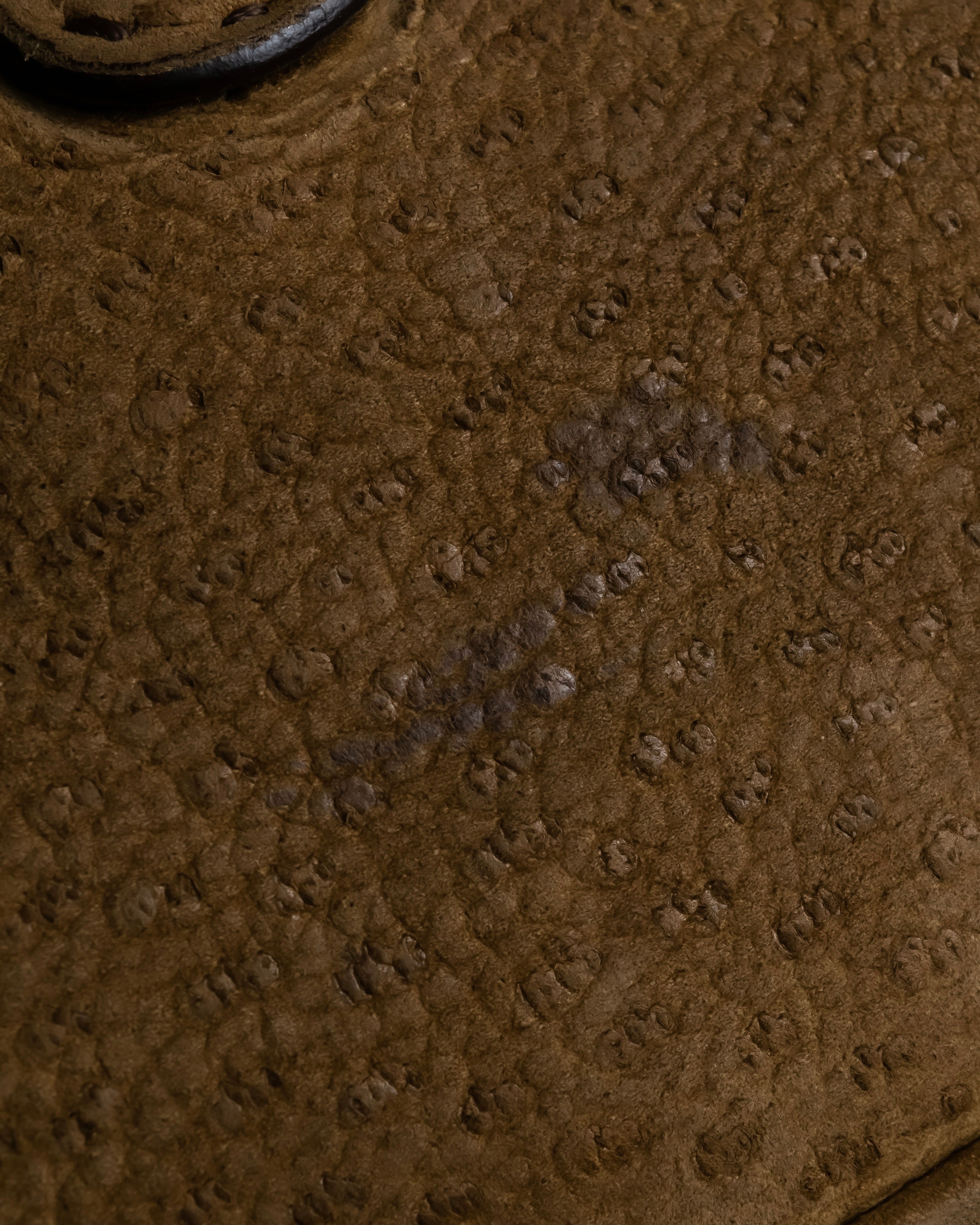 "PRADA" Hook hardware design ostrich leather shoulder bag