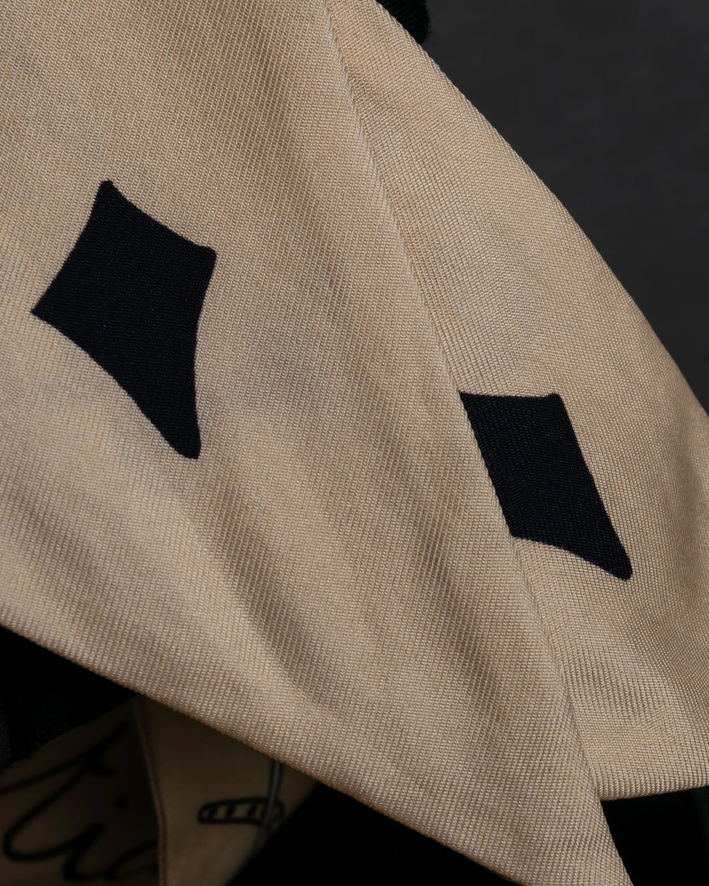 "Christian Dior" Iconic motif silk twilly scarf