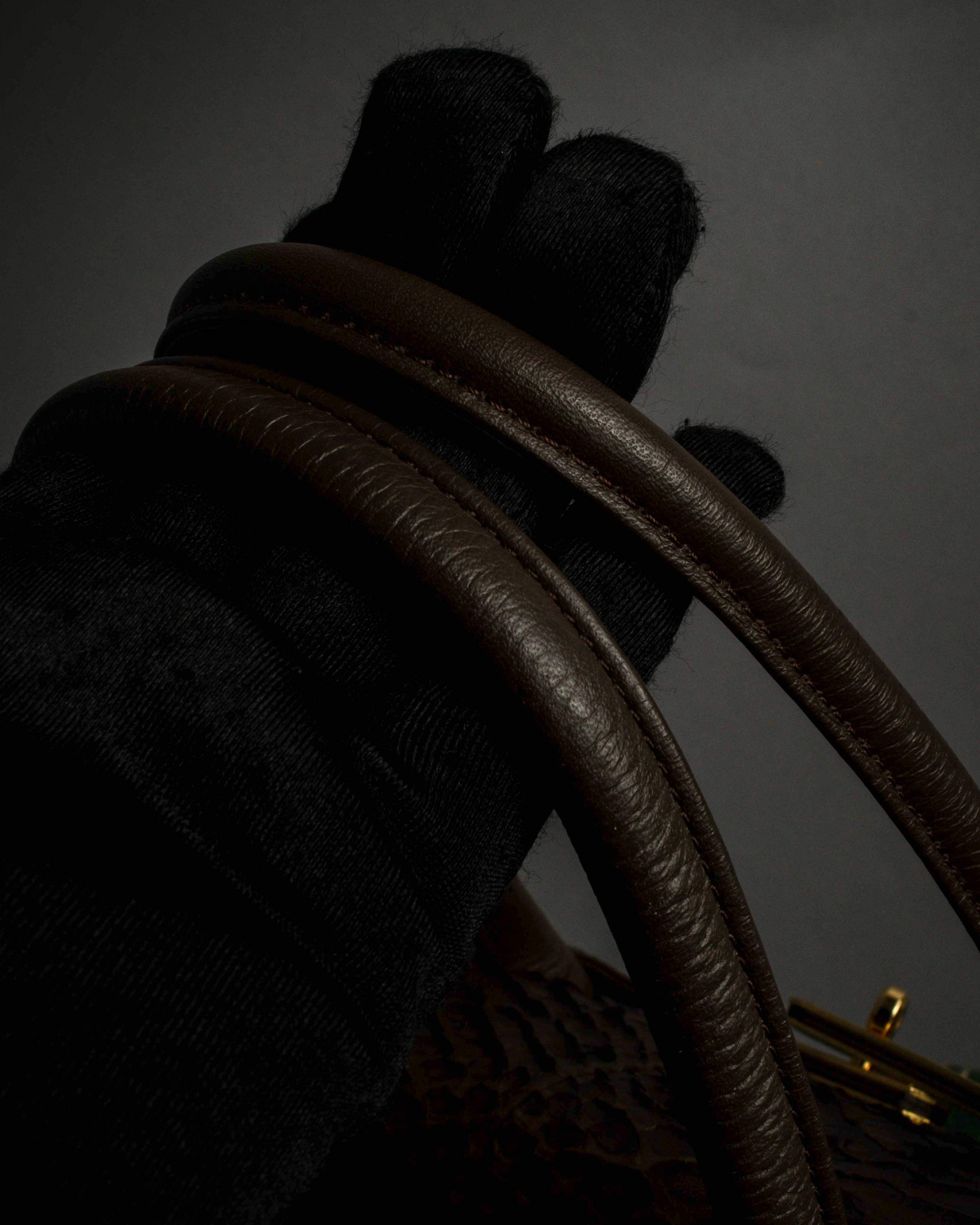 "Vintage turnlock design python leather bag"