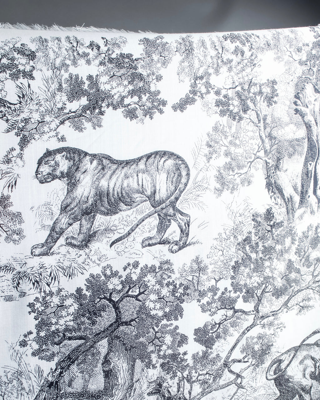 "DIOR" Toile de Jouy Sauvage Scarf