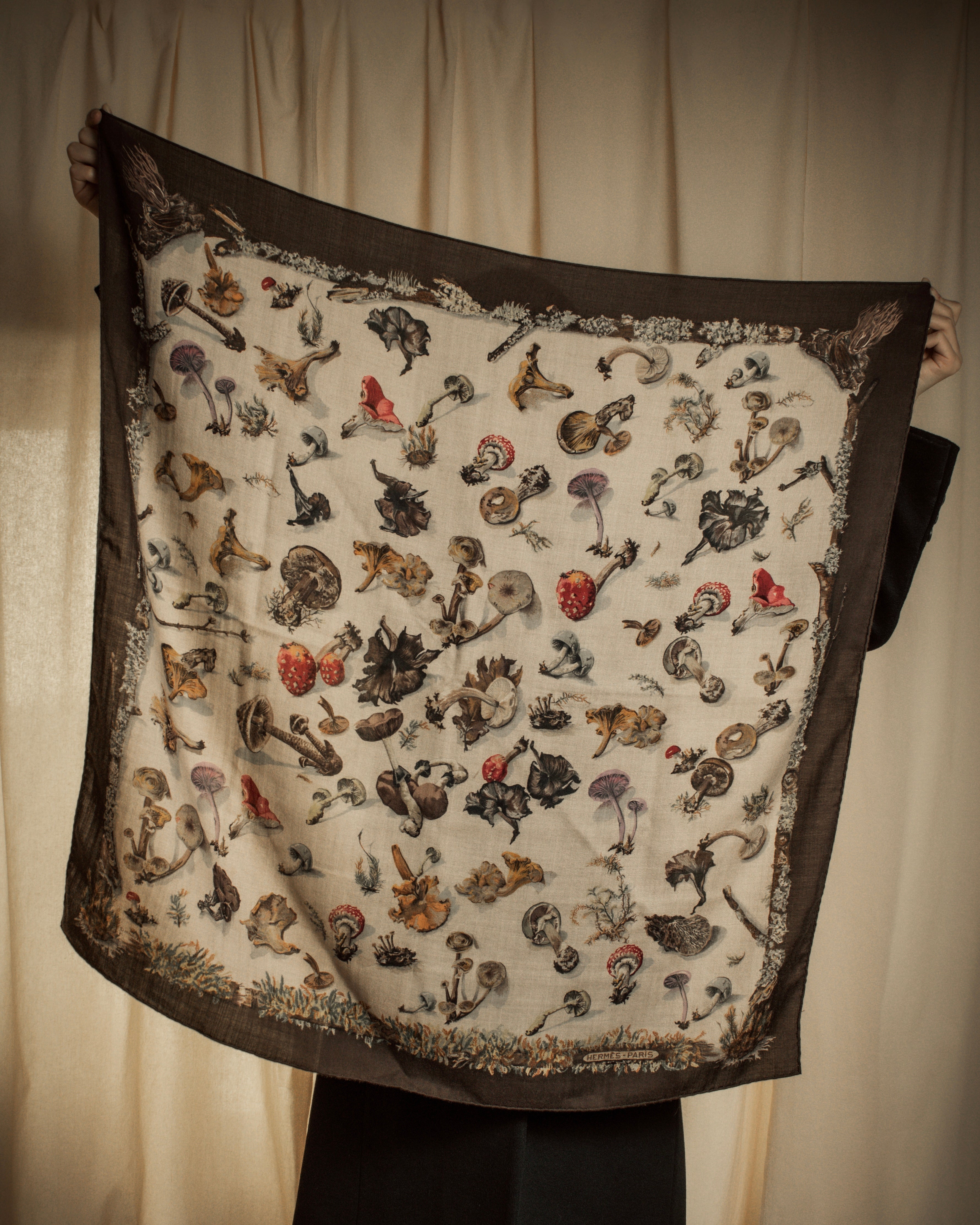 "HERMES" 80's Carré 90 Les Champignons II silk scarf