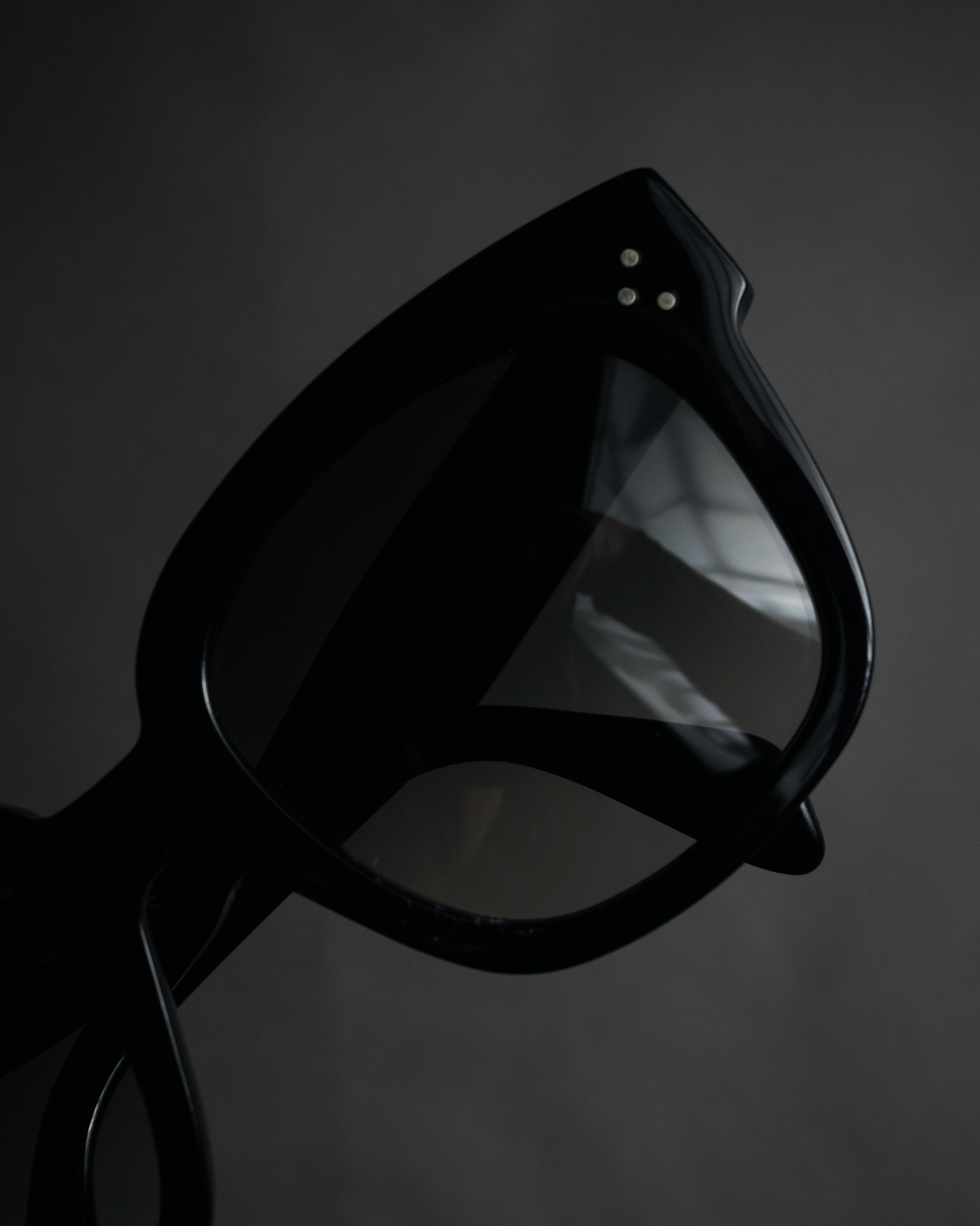 “CELINE” 2019– square acetate sunglasses