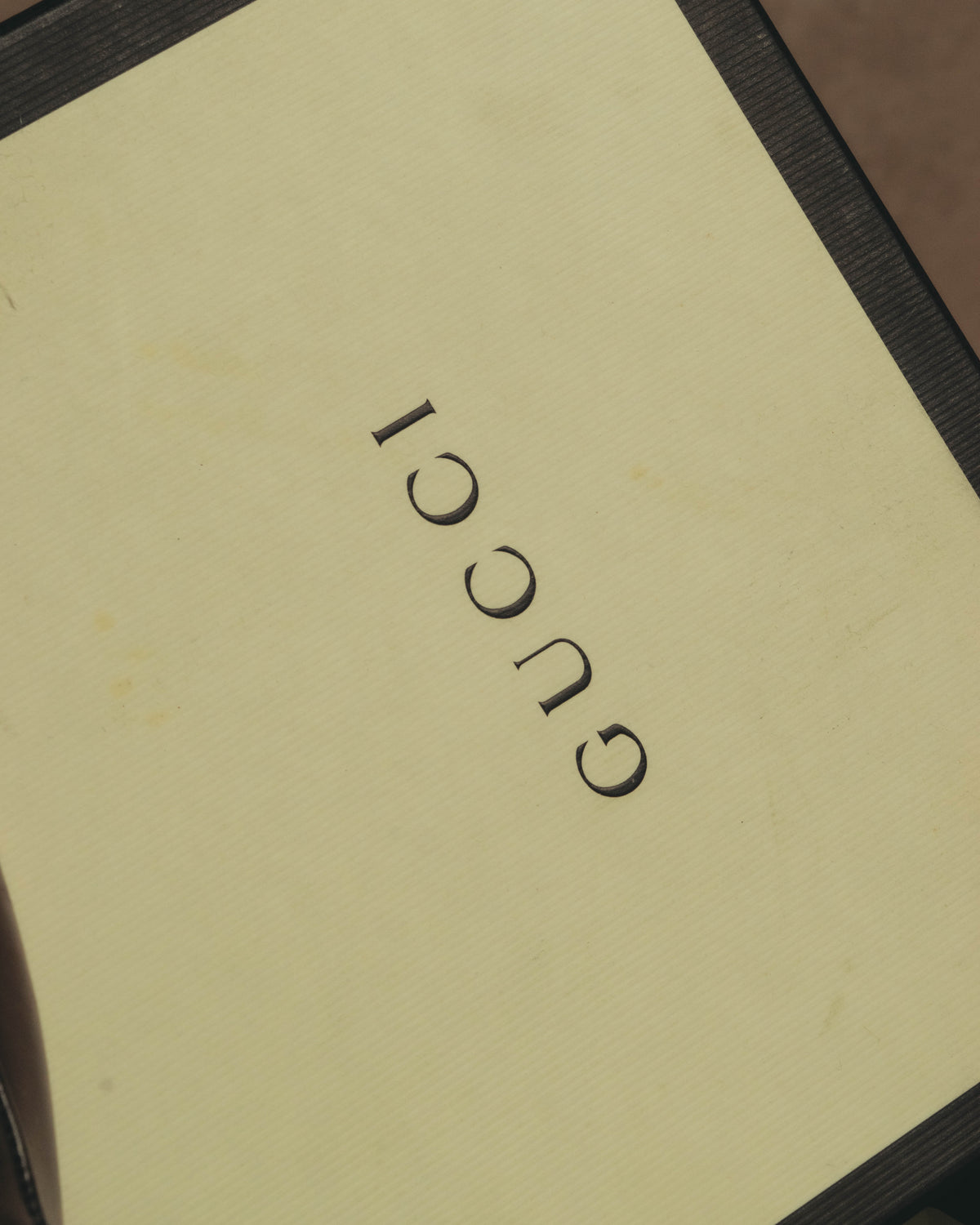 参考付属品として揃う、GUCCIロゴ入りのケア冊子を写したカット。