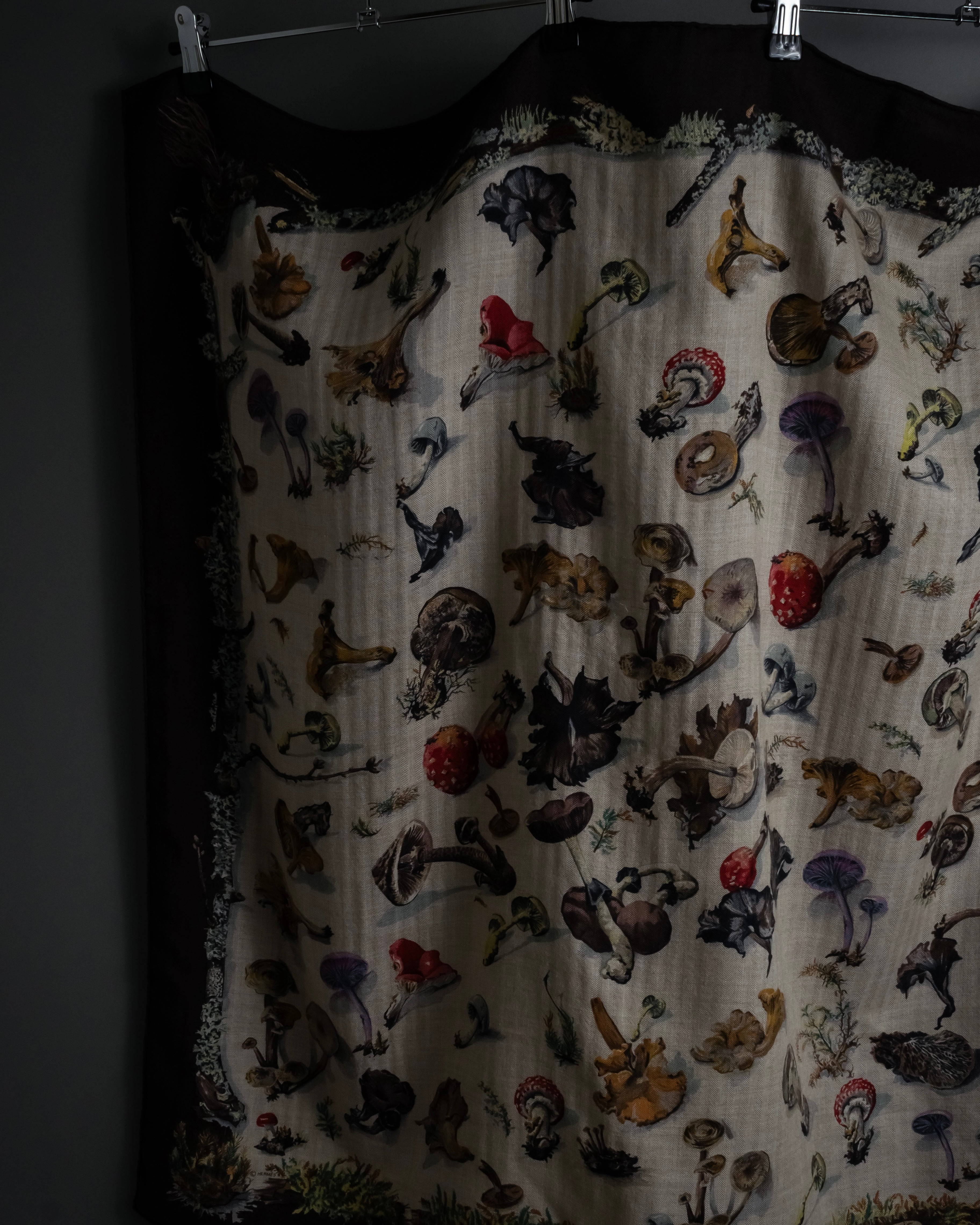 "HERMES" 80's Carré 90 Les Champignons II silk scarf