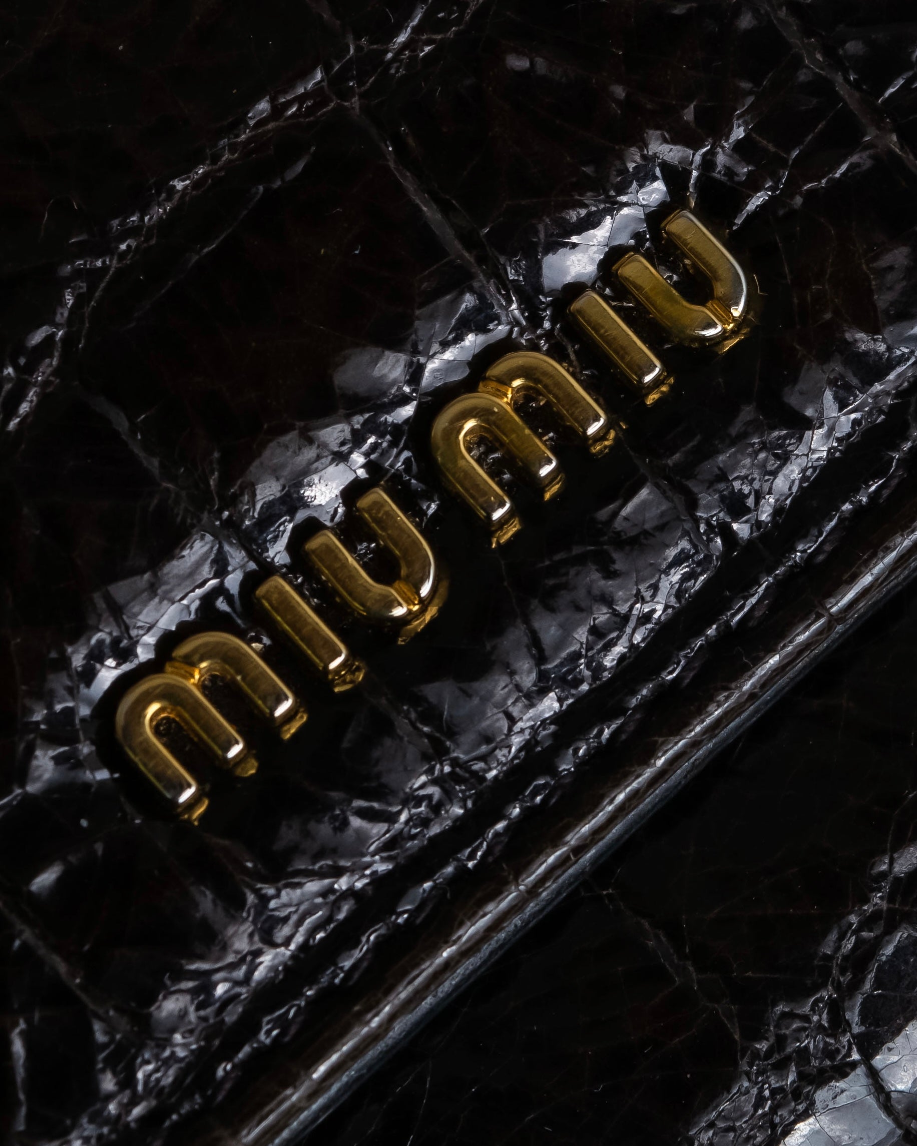 "MIU MIU" Crocodile embossed leather long wallet