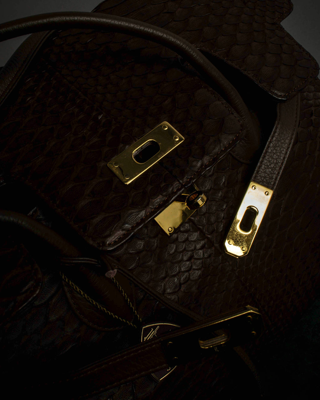 "Vintage turnlock design python leather bag"