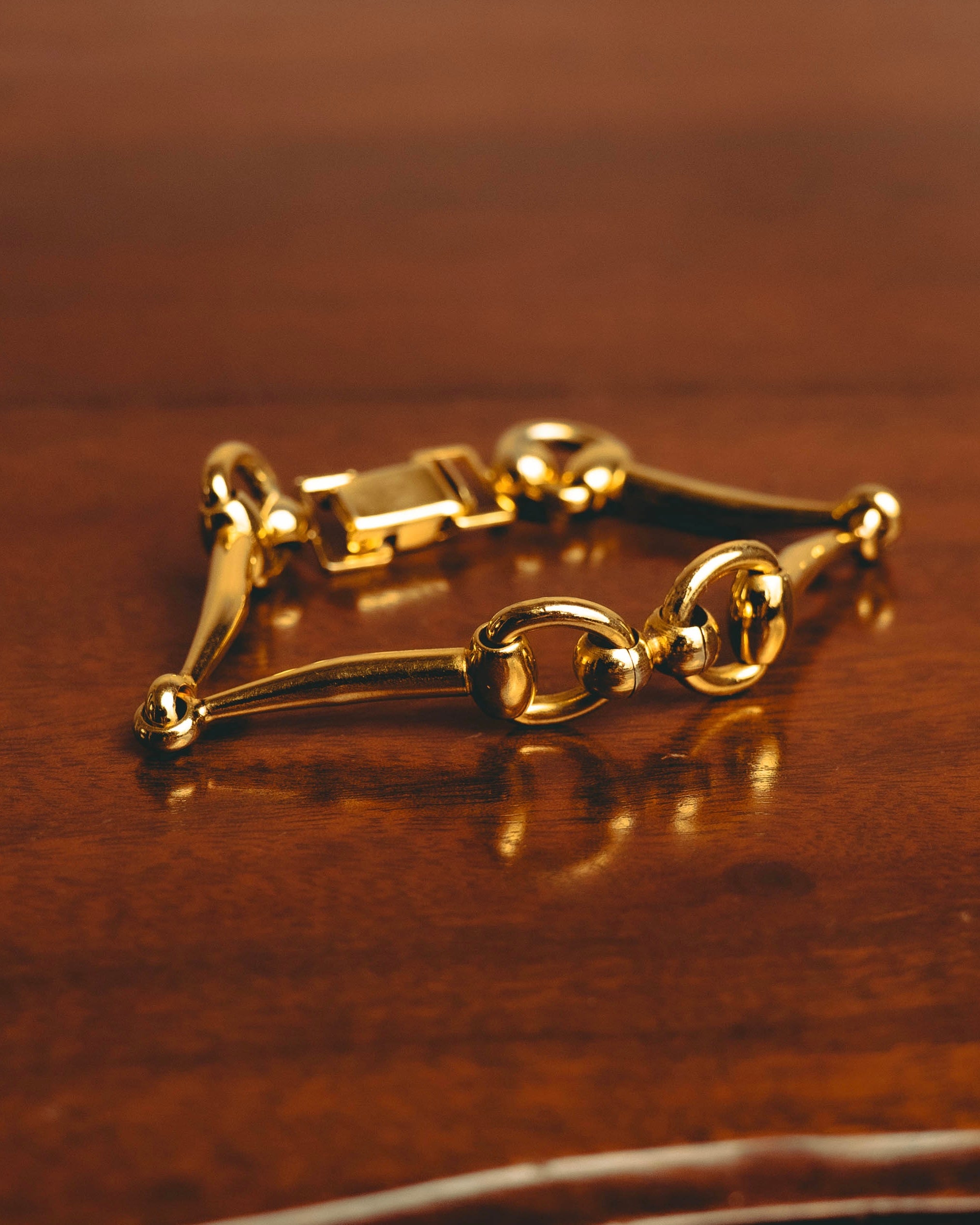 -SPECIAL- “CELINE” 70’s-80’s vintage horsebit link bracelet