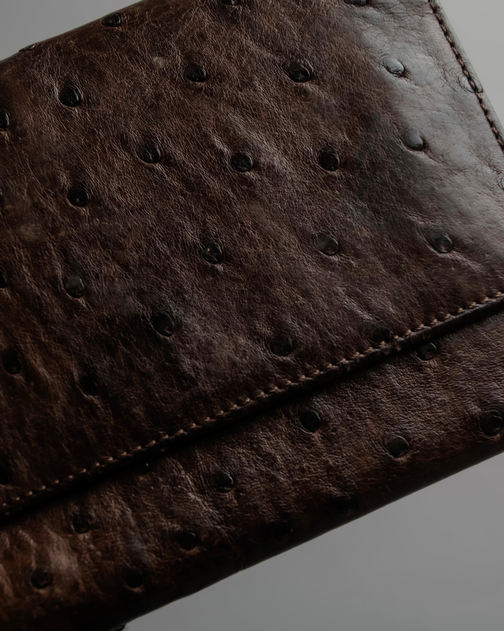 "LOEWE" Ostrich leather bi-fold wallet