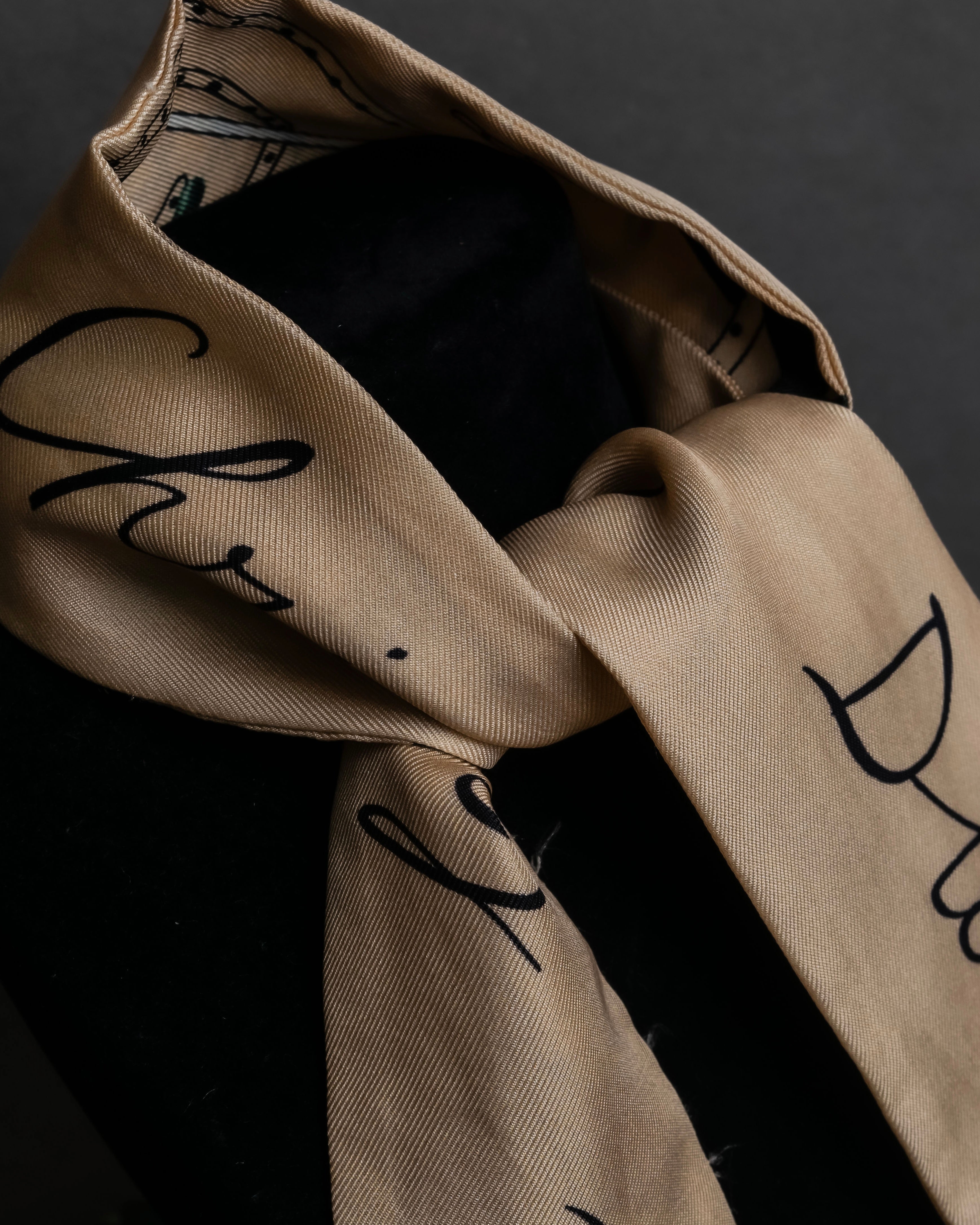 "Christian Dior" Iconic motif silk twilly scarf