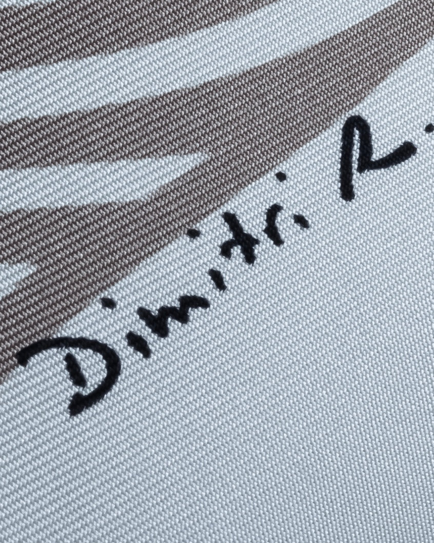 "HERMES" Zebra abstract print Carre 90 silk scarf