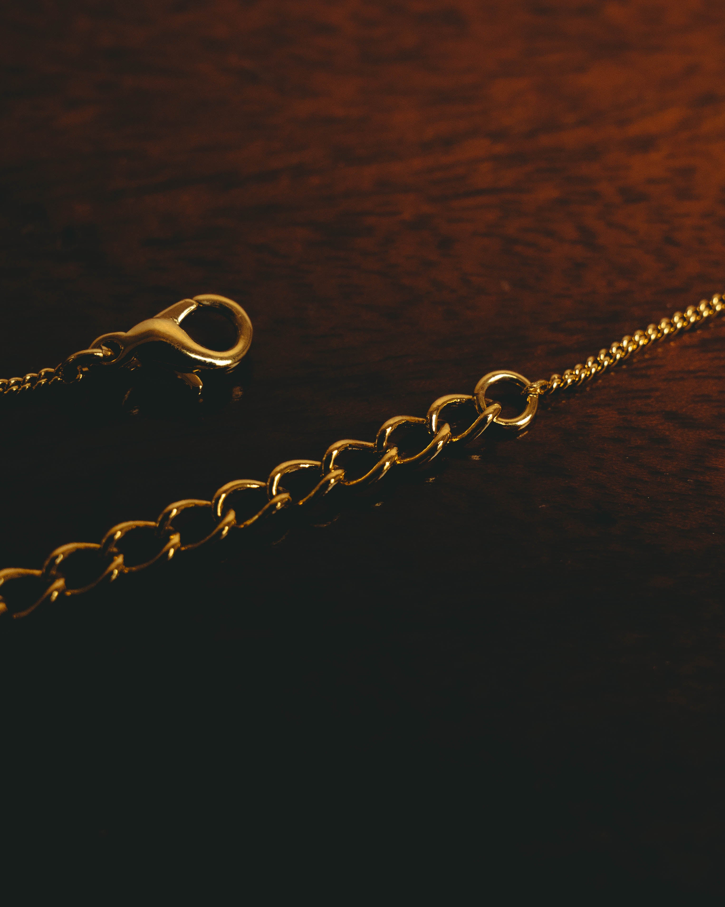 “Christian Dior” 00’s Dior heart charm tassel necklace