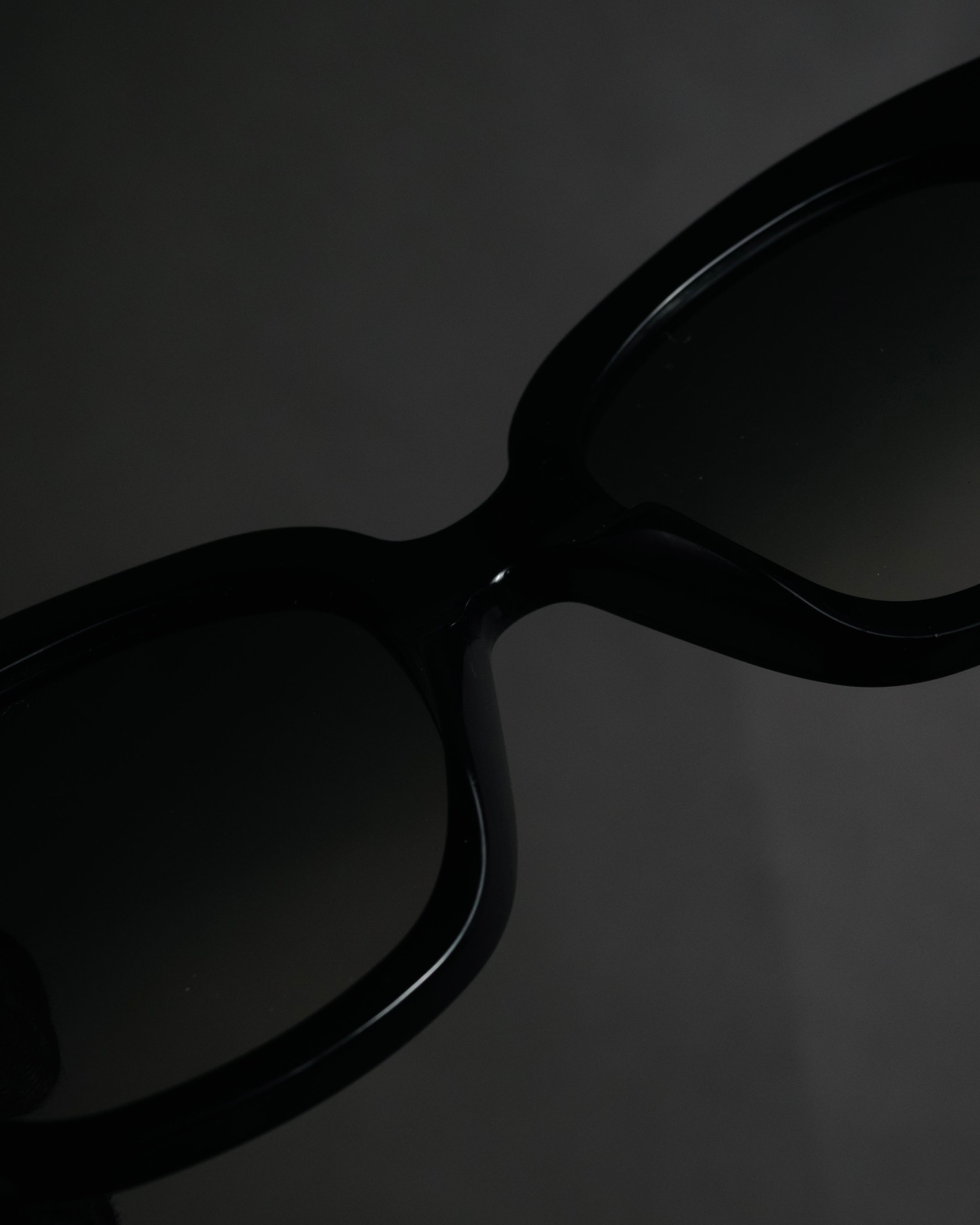 “CELINE” 2019– square acetate sunglasses