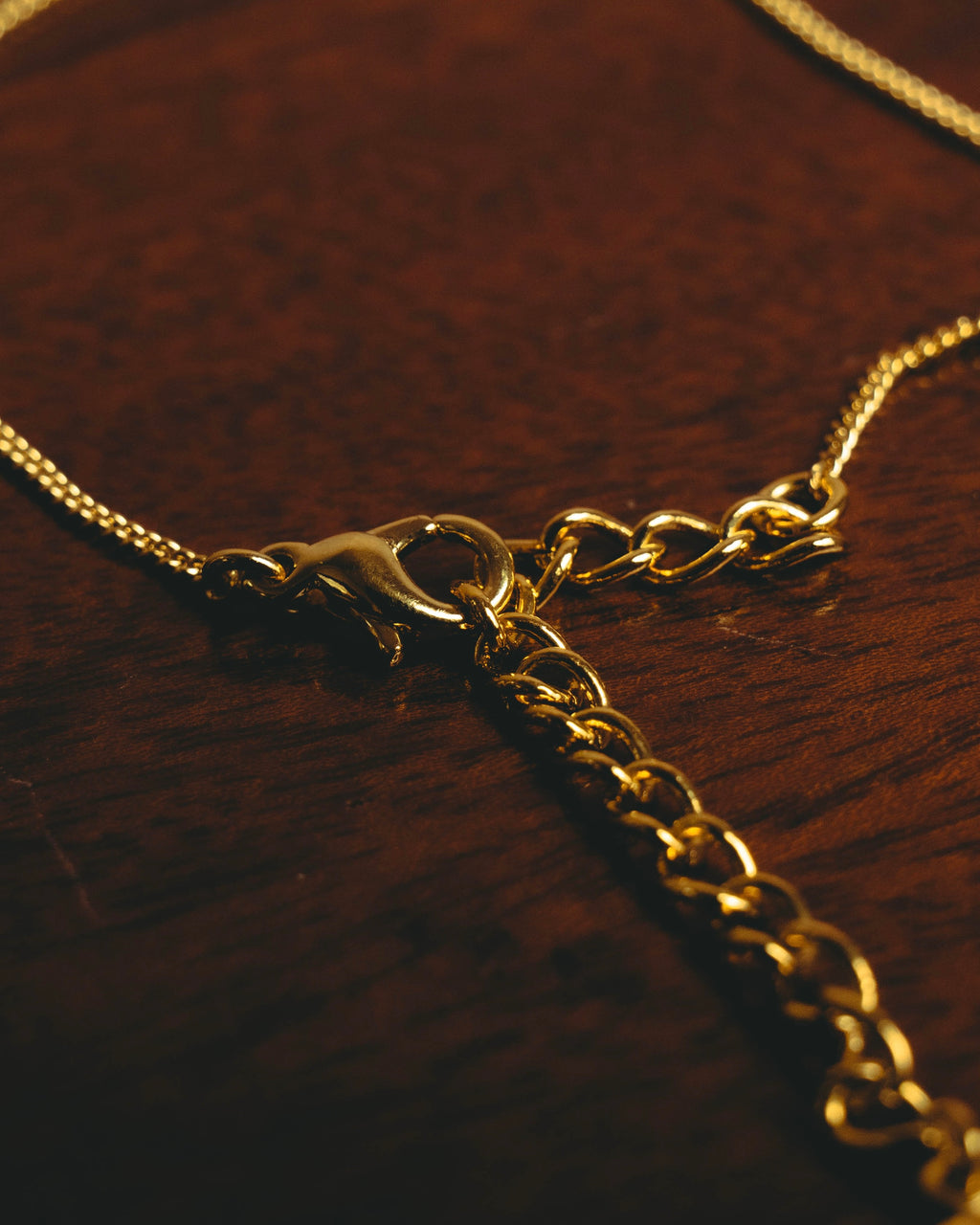 “Christian Dior” 00’s Dior heart charm tassel necklace