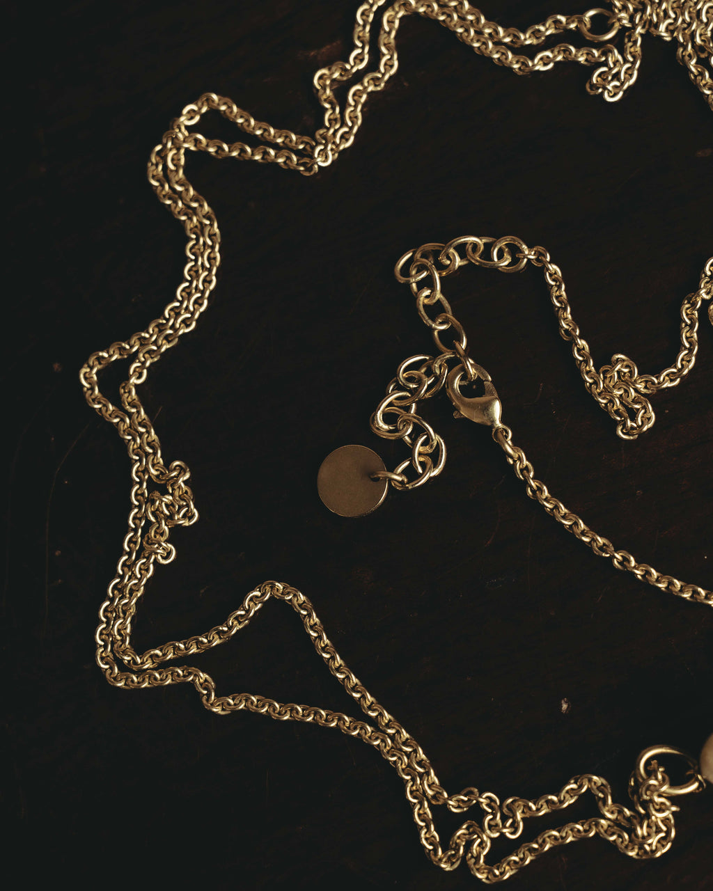 "DIOR" 20's Sculptural turtle long pendant necklace
