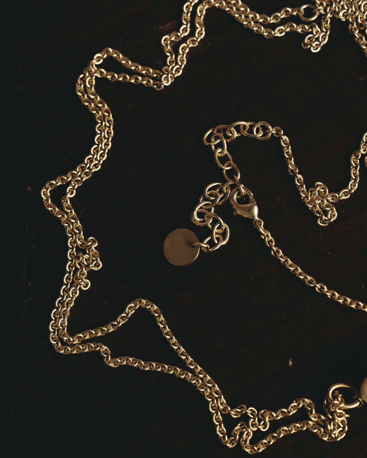 "DIOR" 20's Sculptural turtle long pendant necklace