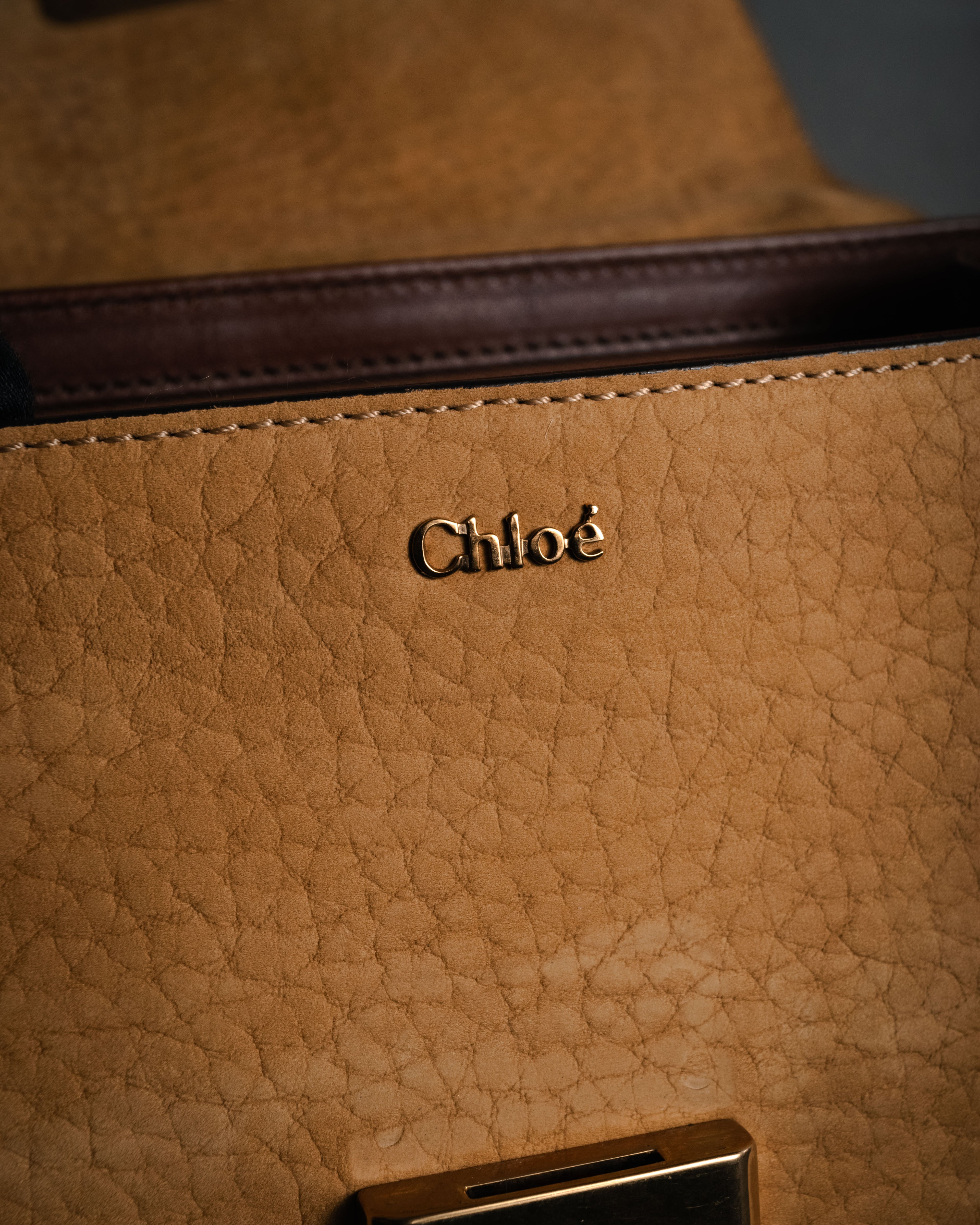 “Chloé” 12-14 Alice bicolor trapeze tote bag