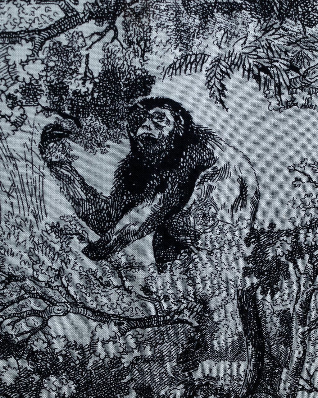 "DIOR" Toile de Jouy Sauvage Scarf